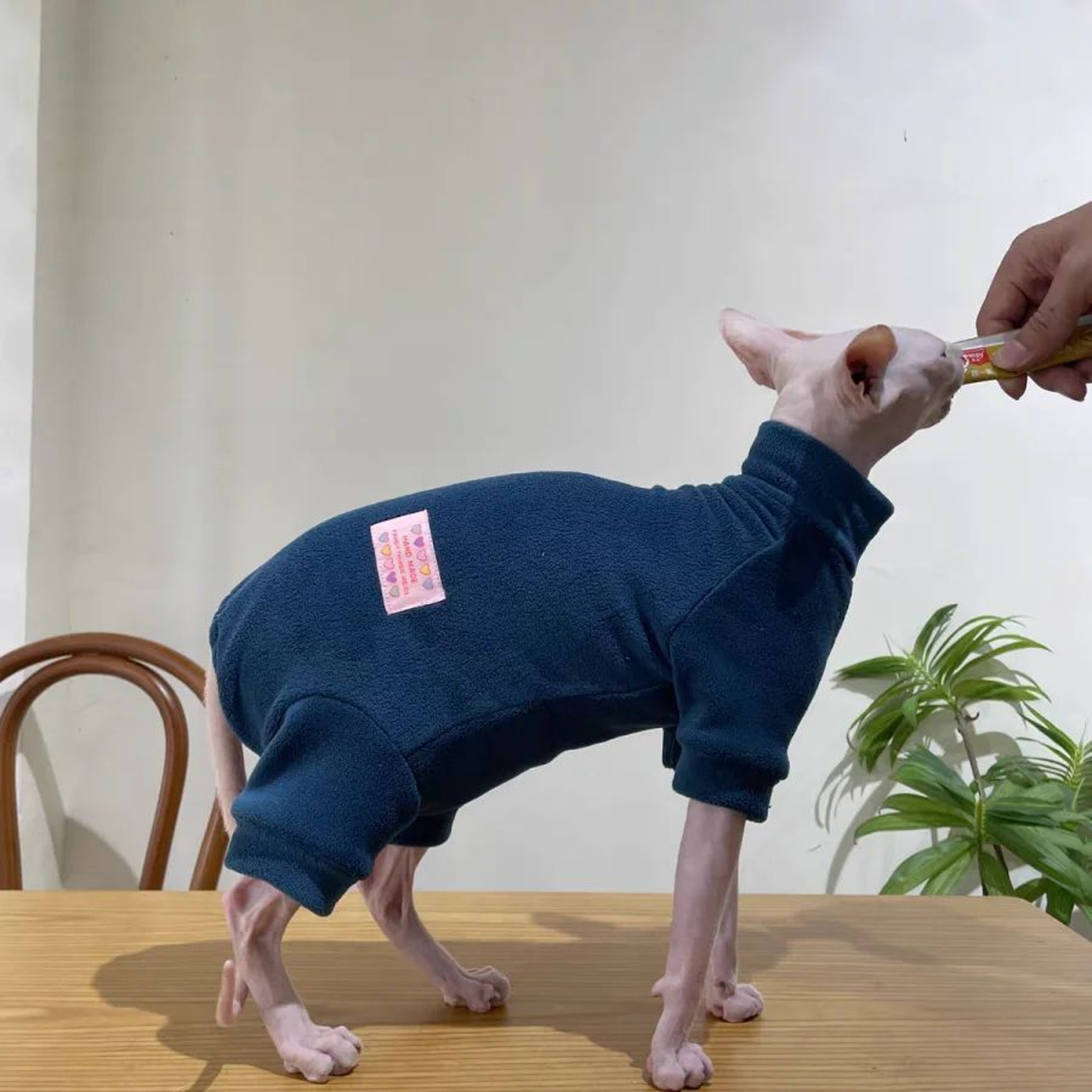 Warm Fleece 4Legged Sphynx Cat Jumpsuit  Soft Thermal Pajama Sweater For Sphynx Devon Rex  Hairless 9
