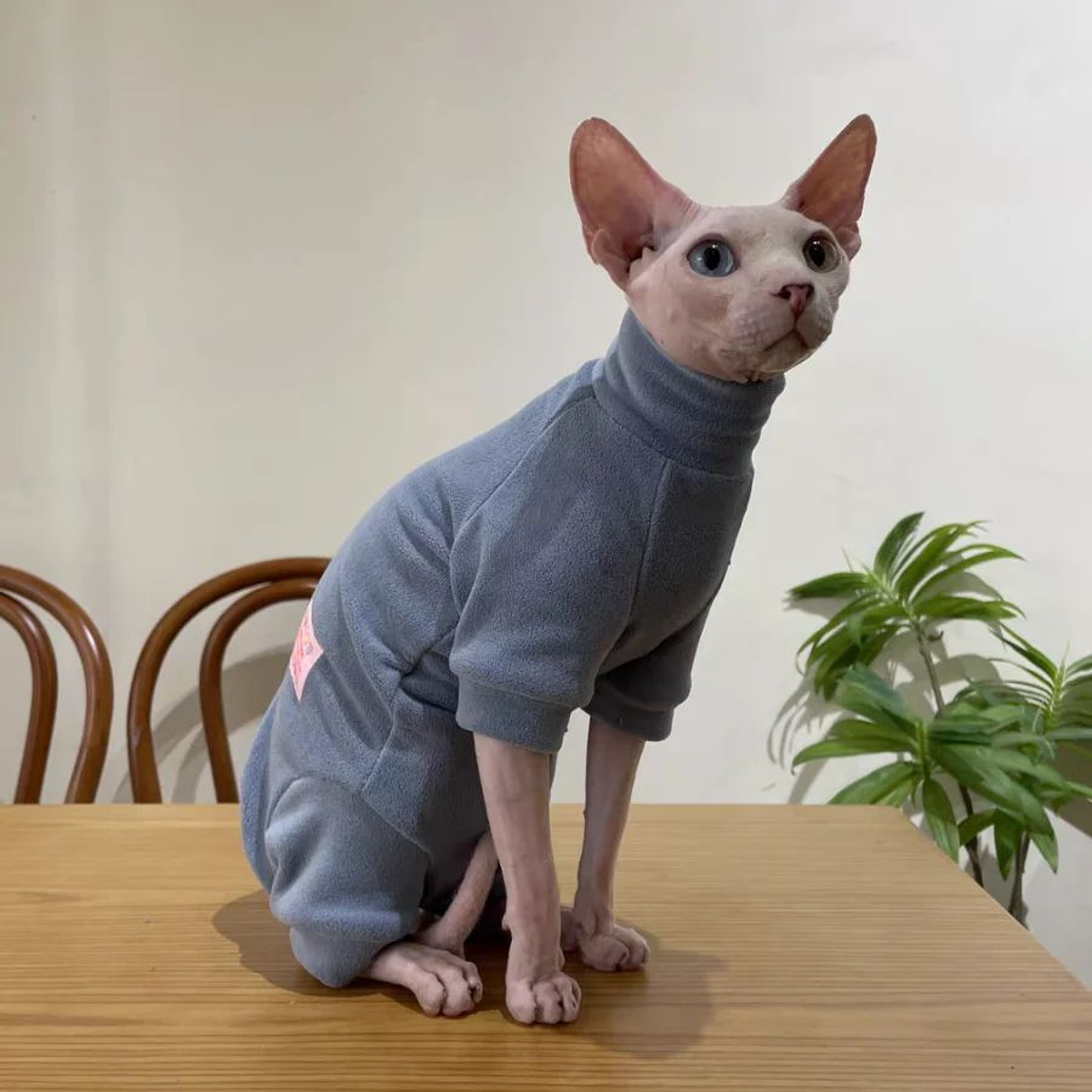 Warm Fleece 4Legged Sphynx Cat Jumpsuit  Soft Thermal Pajama Sweater For Sphynx Devon Rex  Hairless 10