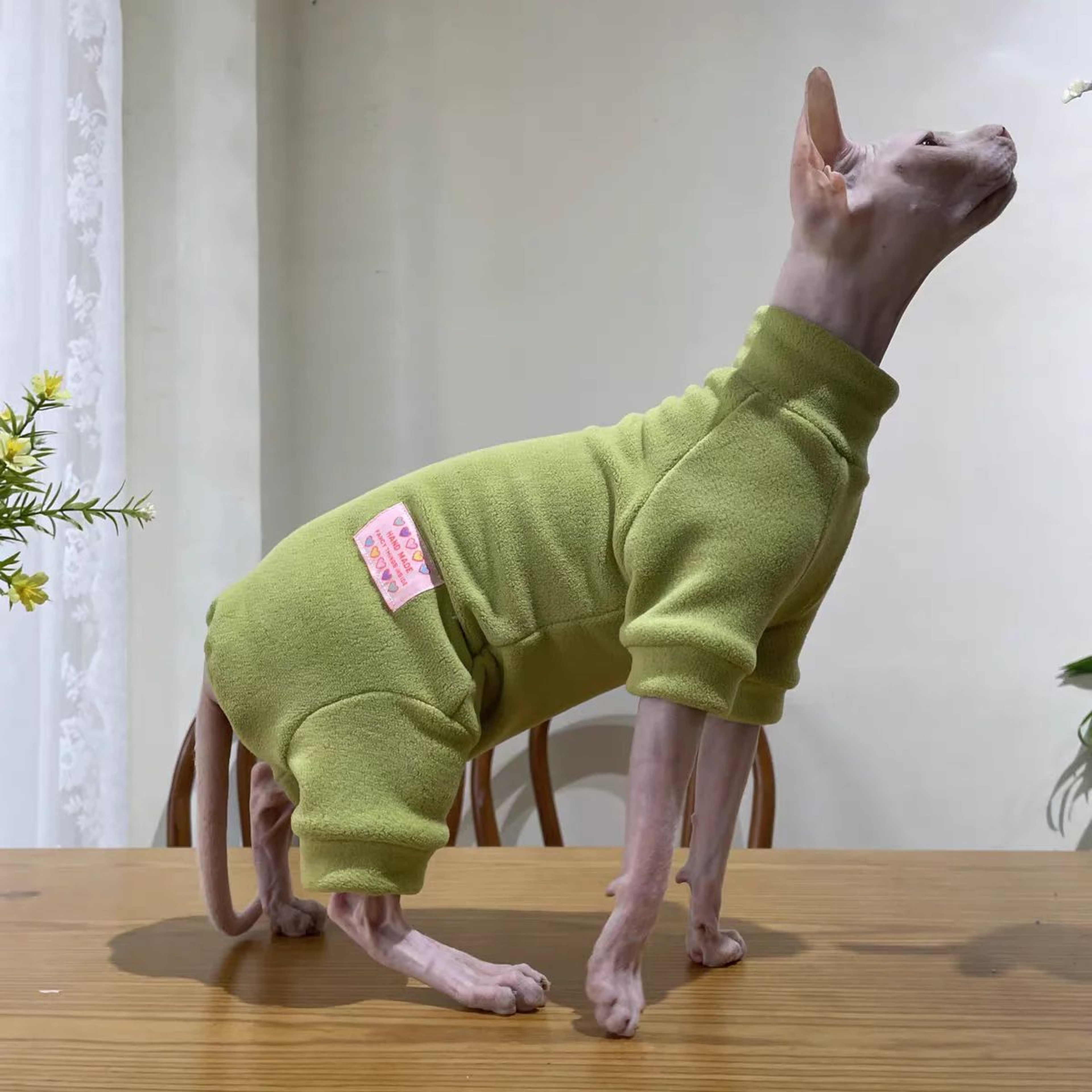 Warm Fleece 4Legged Sphynx Cat Jumpsuit  Soft Thermal Pajama Sweater For Sphynx Devon Rex  Hairless 12