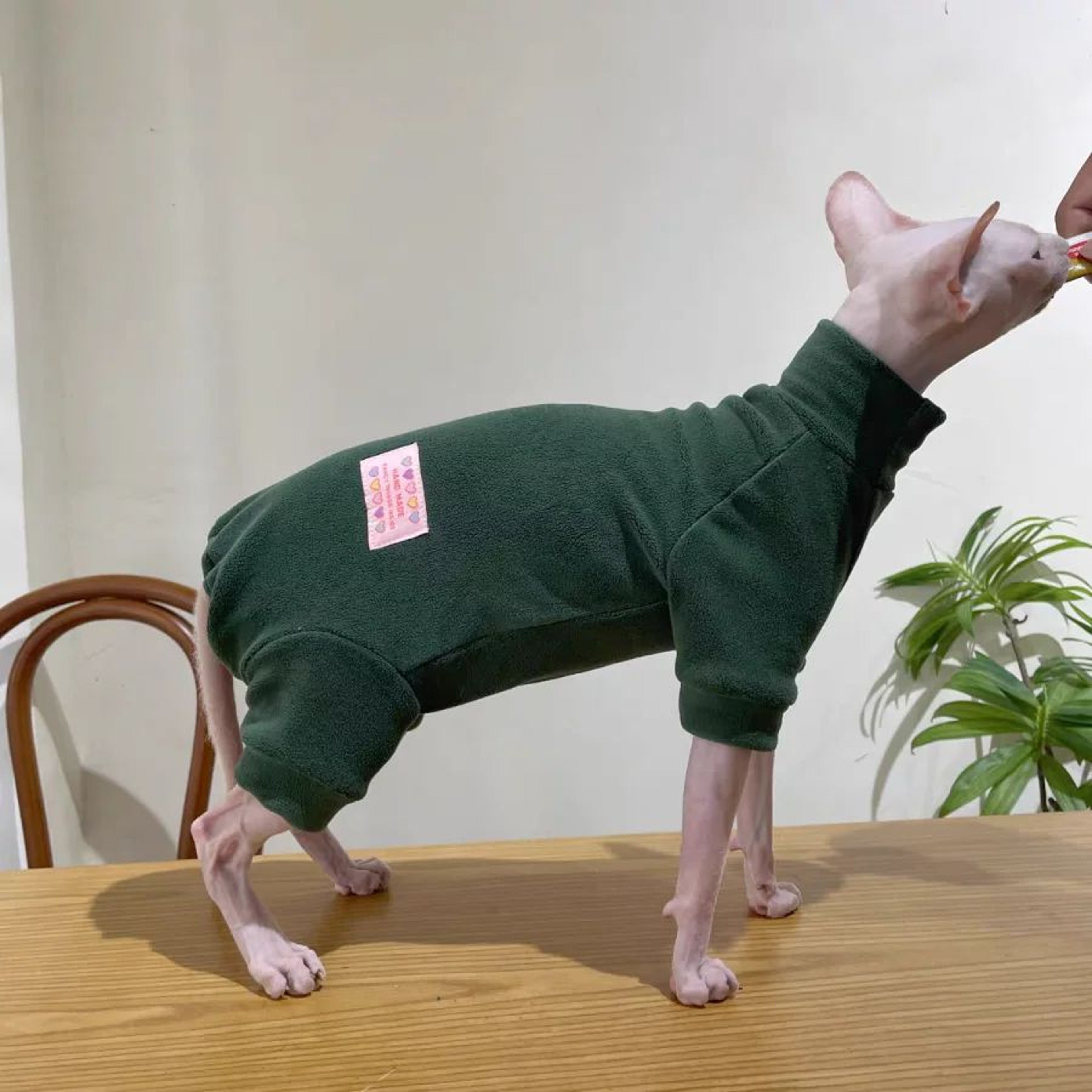Warm Fleece 4Legged Sphynx Cat Jumpsuit  Soft Thermal Pajama Sweater For Sphynx Devon Rex  Hairless 13