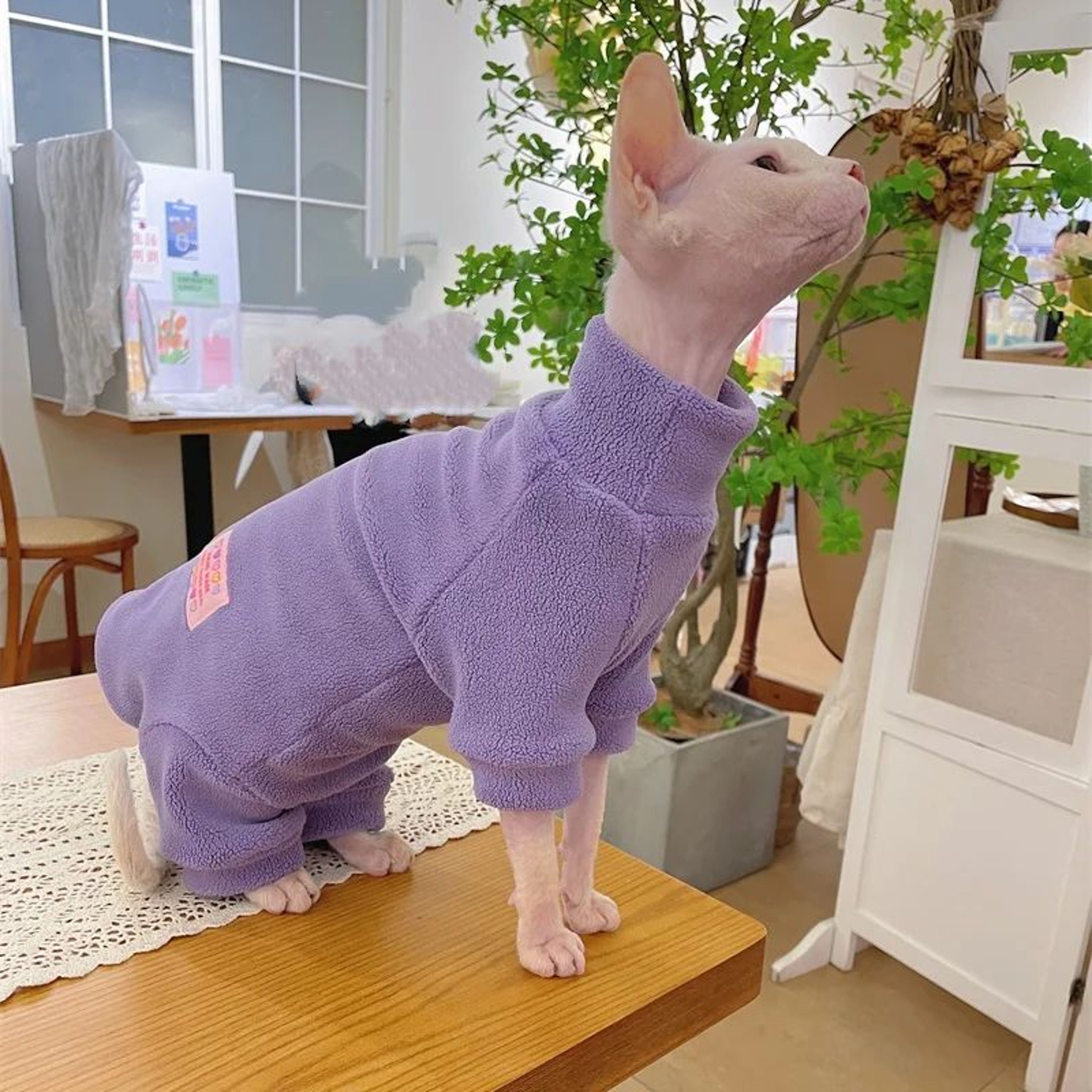 Warm Fleece 4Legged Sphynx Cat Jumpsuit  Soft Thermal Pajama Sweater For Sphynx Devon Rex  Hairless 17
