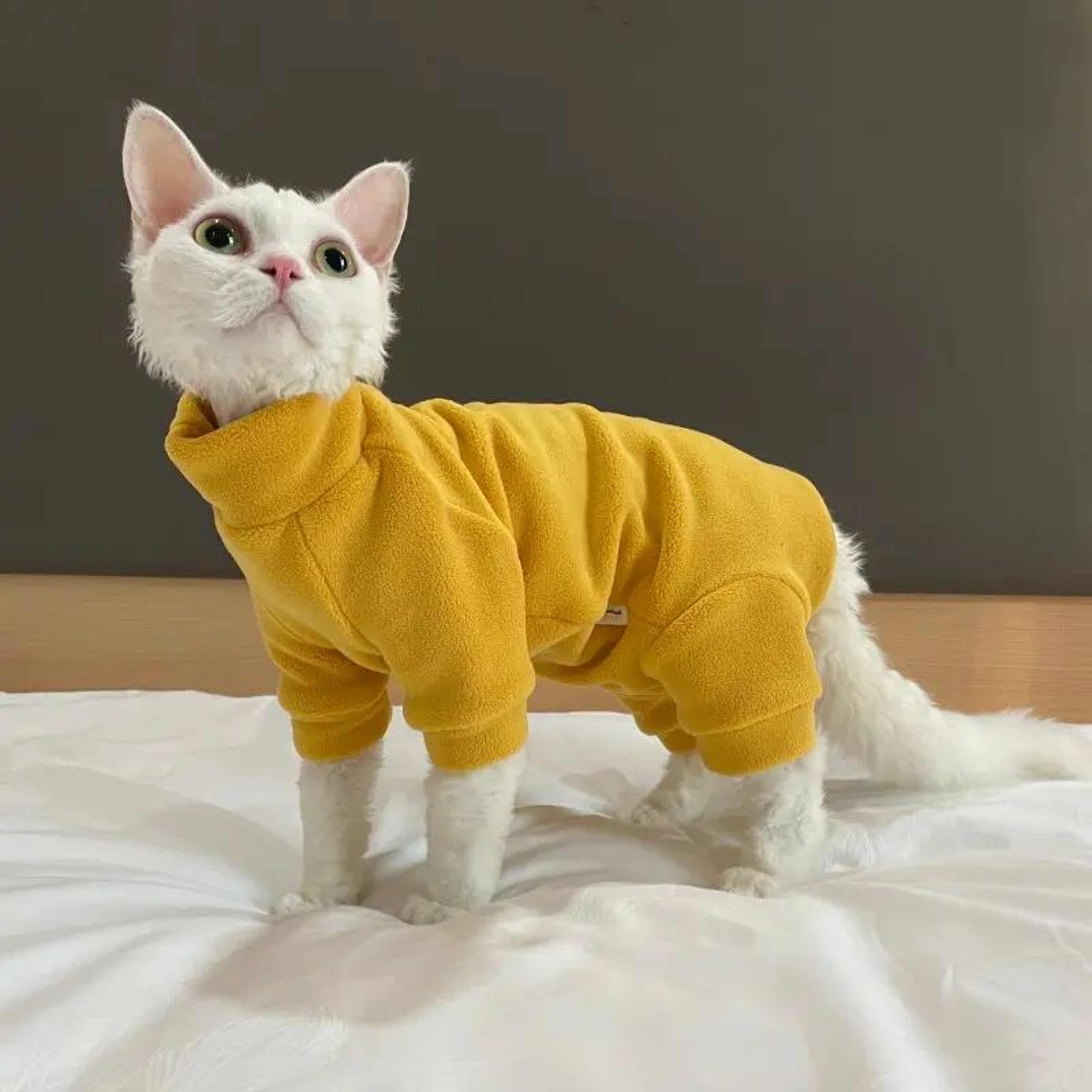 Warm Fleece 4Legged Sphynx Cat Jumpsuit  Soft Thermal Pajama Sweater For Sphynx Devon Rex  Hairless 20