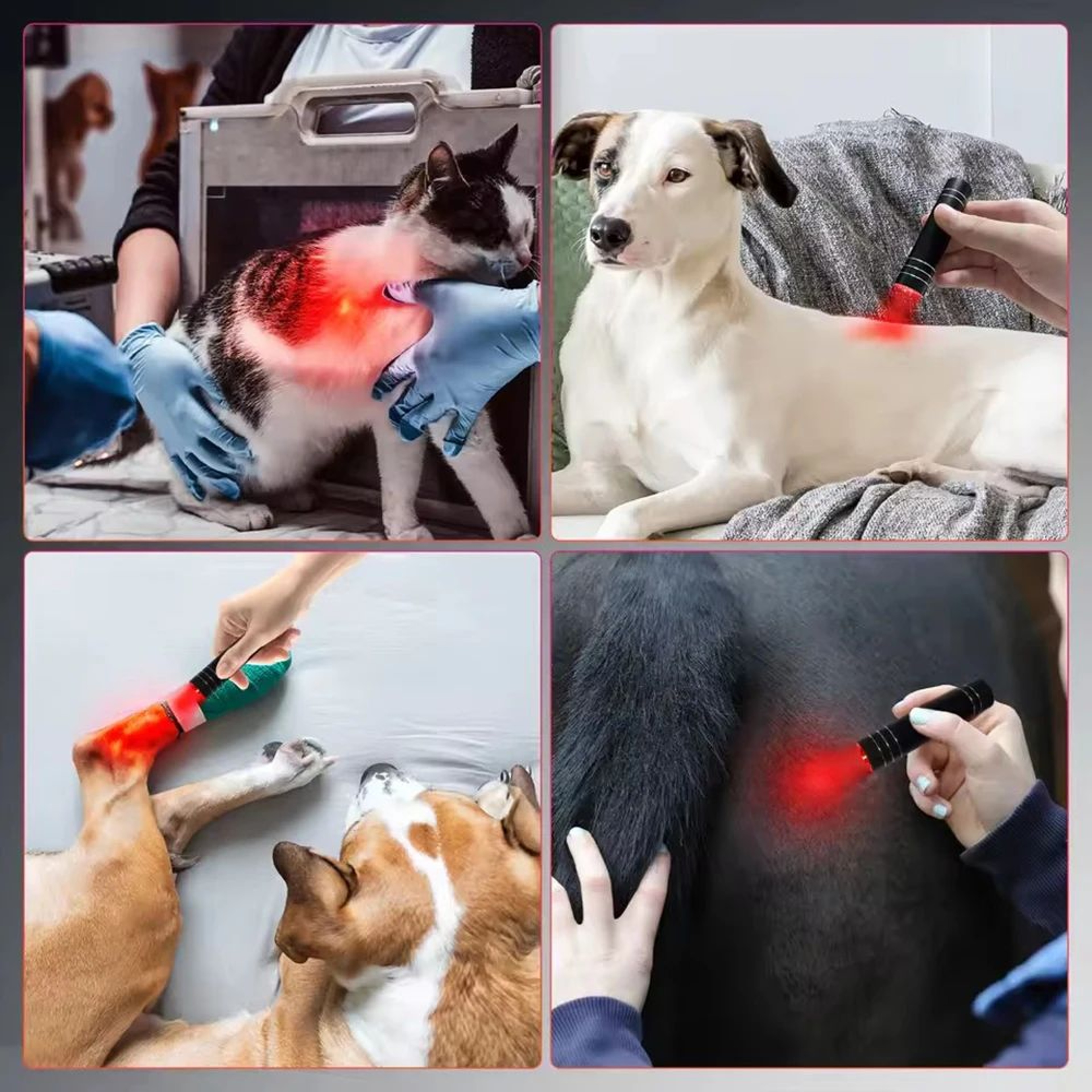 Red  Near Infrared LED Light Therapy Flashlight  660 Nm  850 Nm USB Rechargeable Portable Light Dev 5