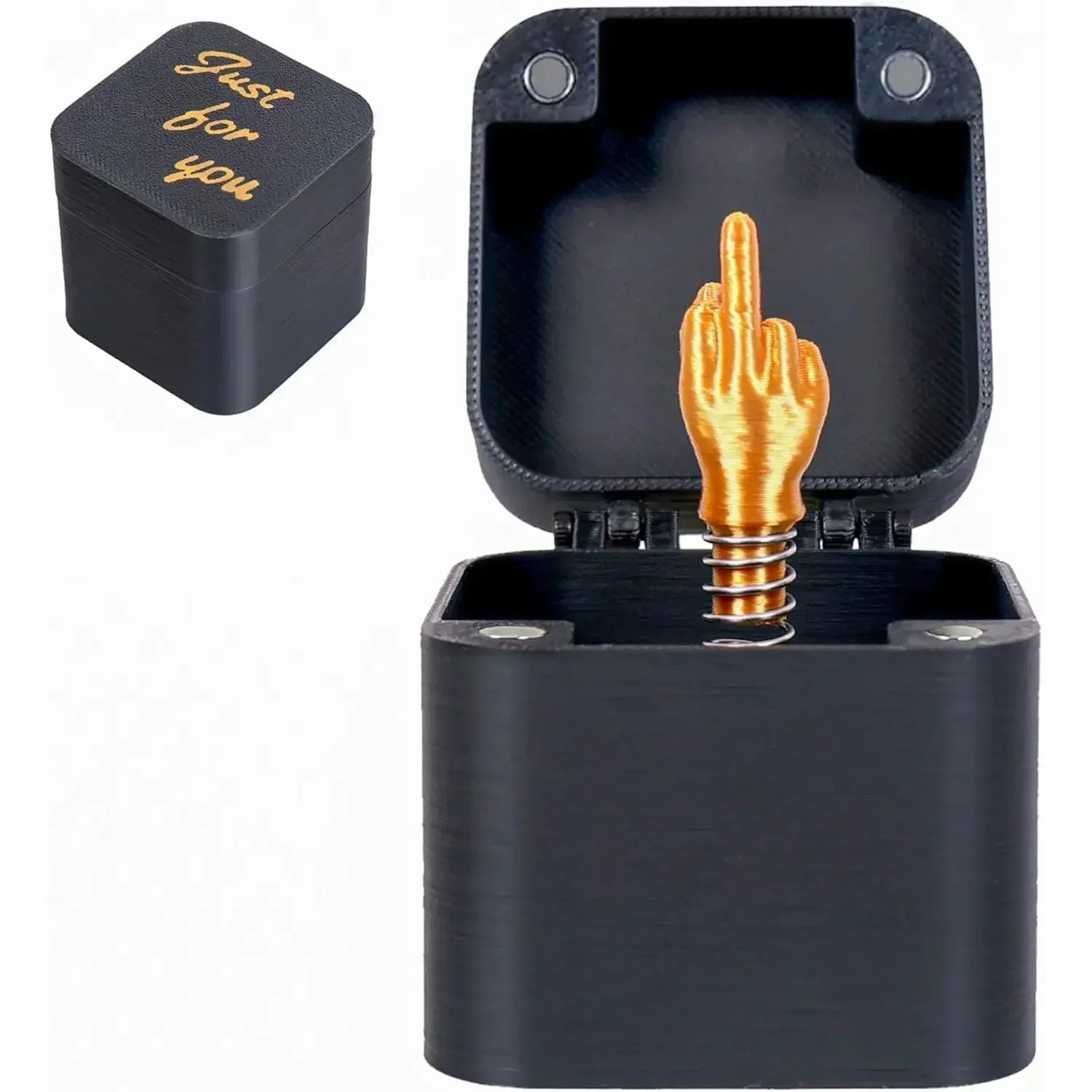 Funny Middle Finger In Box  Novelty Desk Decor Gag Gift For Halloween Christmas  Birthdays 0
