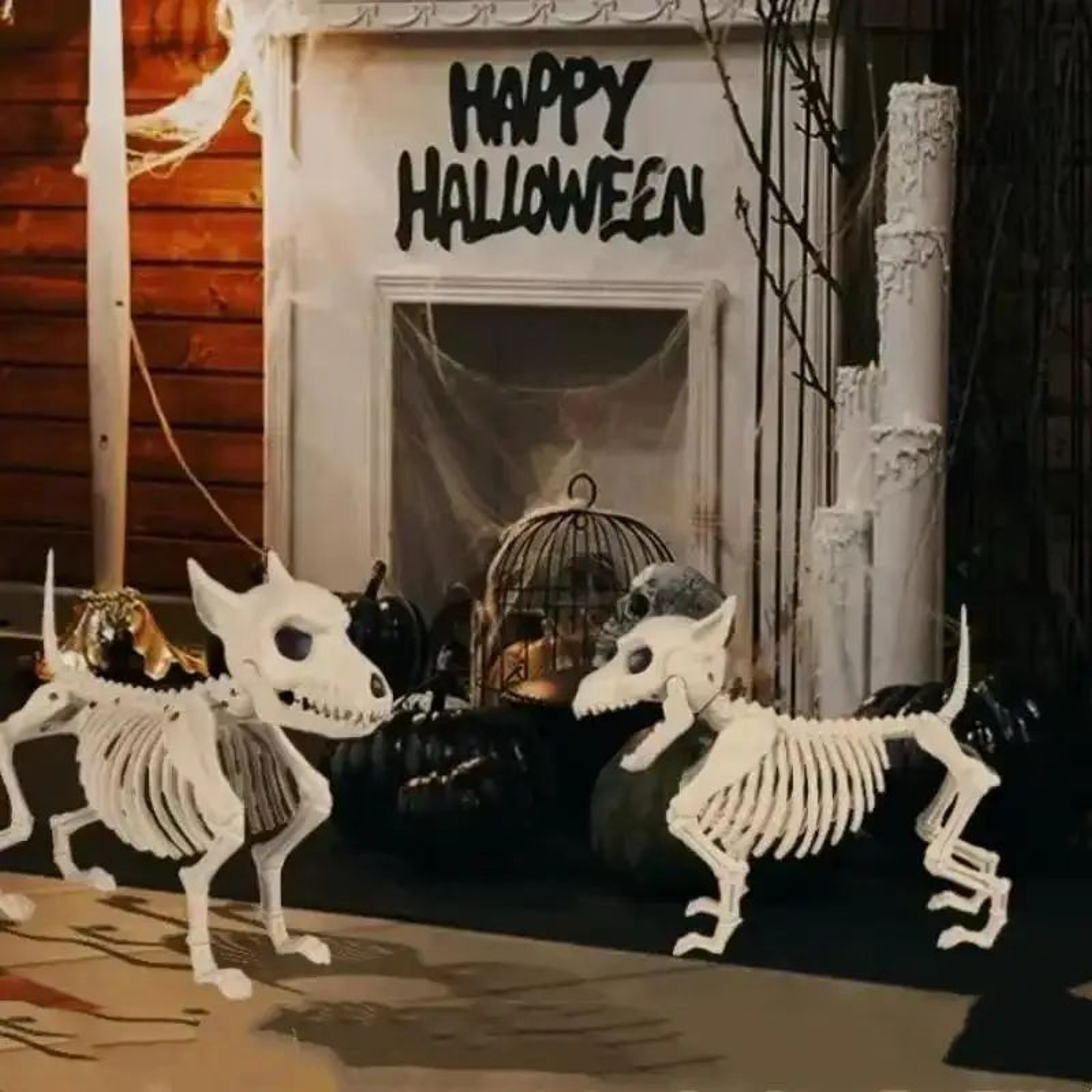 Halloween Skeleton Animal Decor  Wolf Frog  Crow Plastic Horror Props For Indoor  Outdoor Display 1