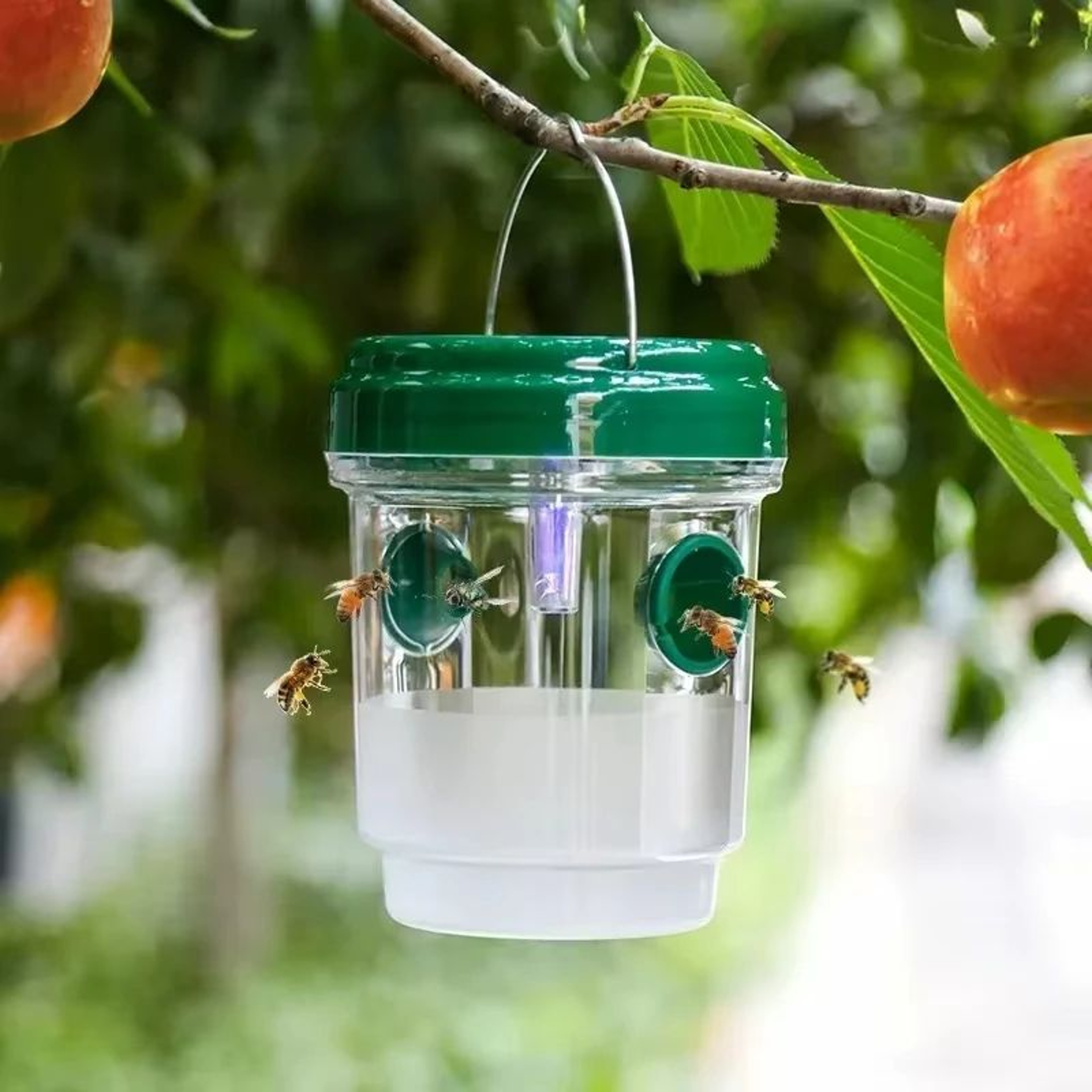 Reusable Hanging Fruit Fly  Wasp Trap  Waterproof Outdoor Insect Catcher For Garden Orchard  Indoor 1