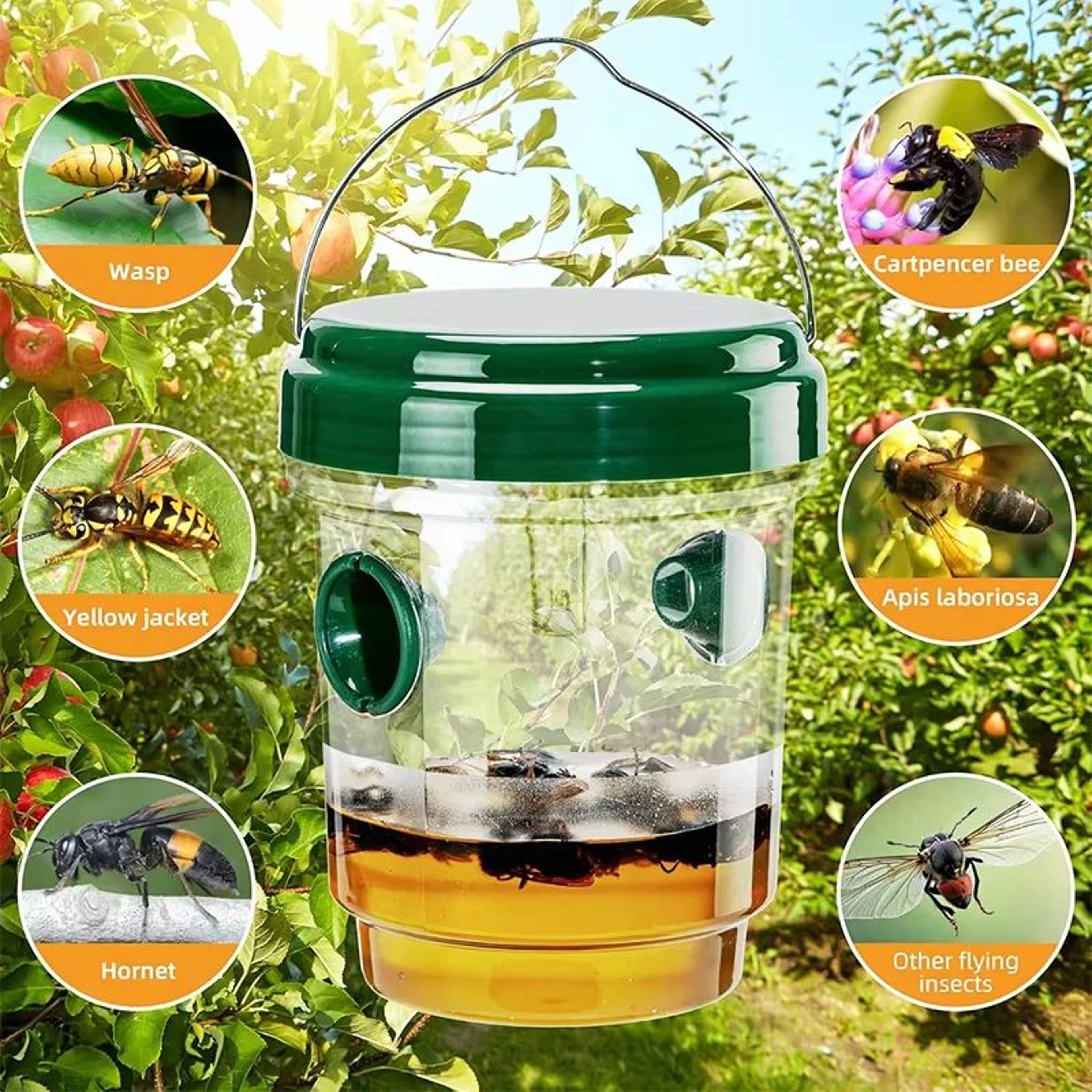 Reusable Hanging Fruit Fly  Wasp Trap  Waterproof Outdoor Insect Catcher For Garden Orchard  Indoor 3
