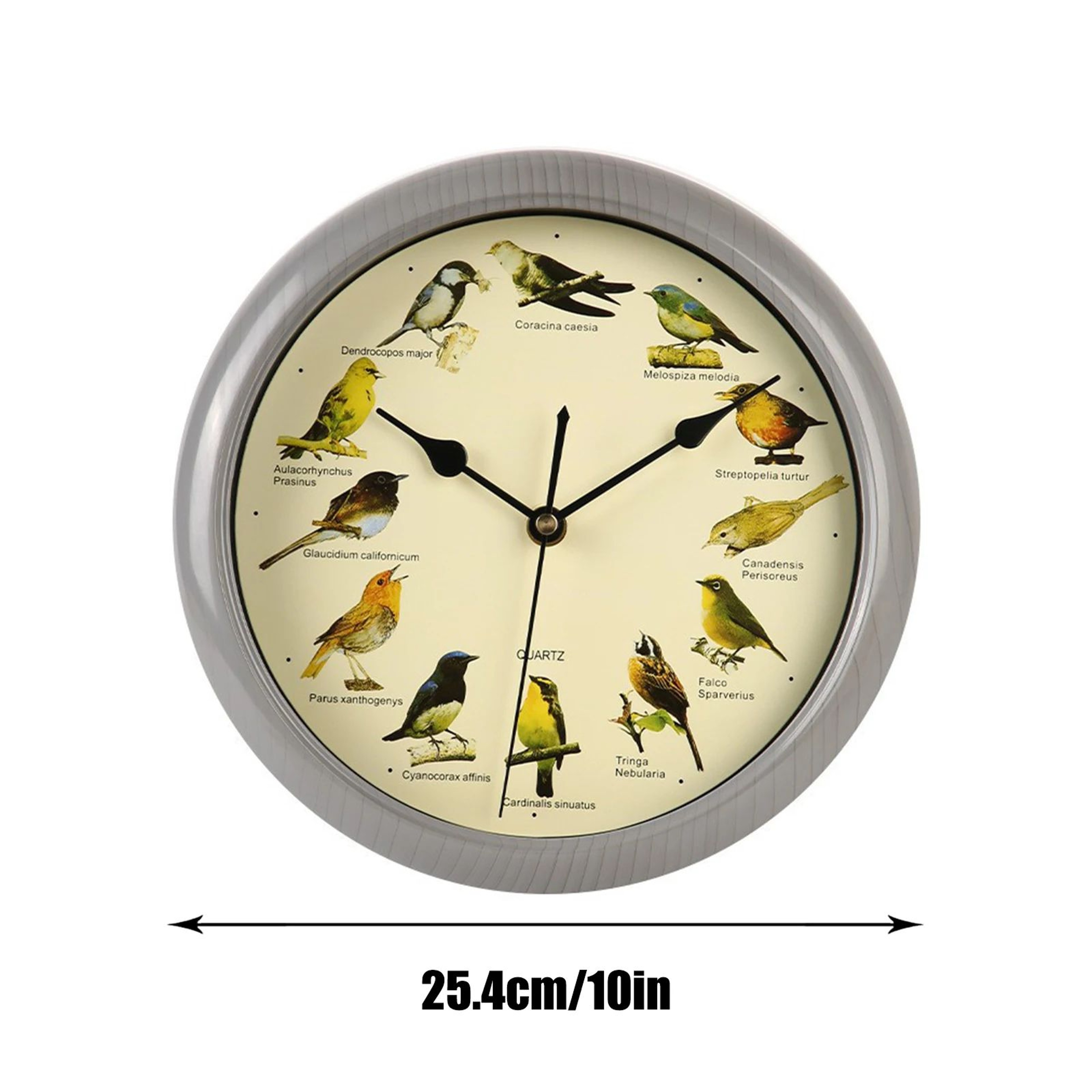 Singing Bird Wall Clock  Decorative Sound Clock With Bird Calls For Kitchen Living Room Bedroom  Ho 5