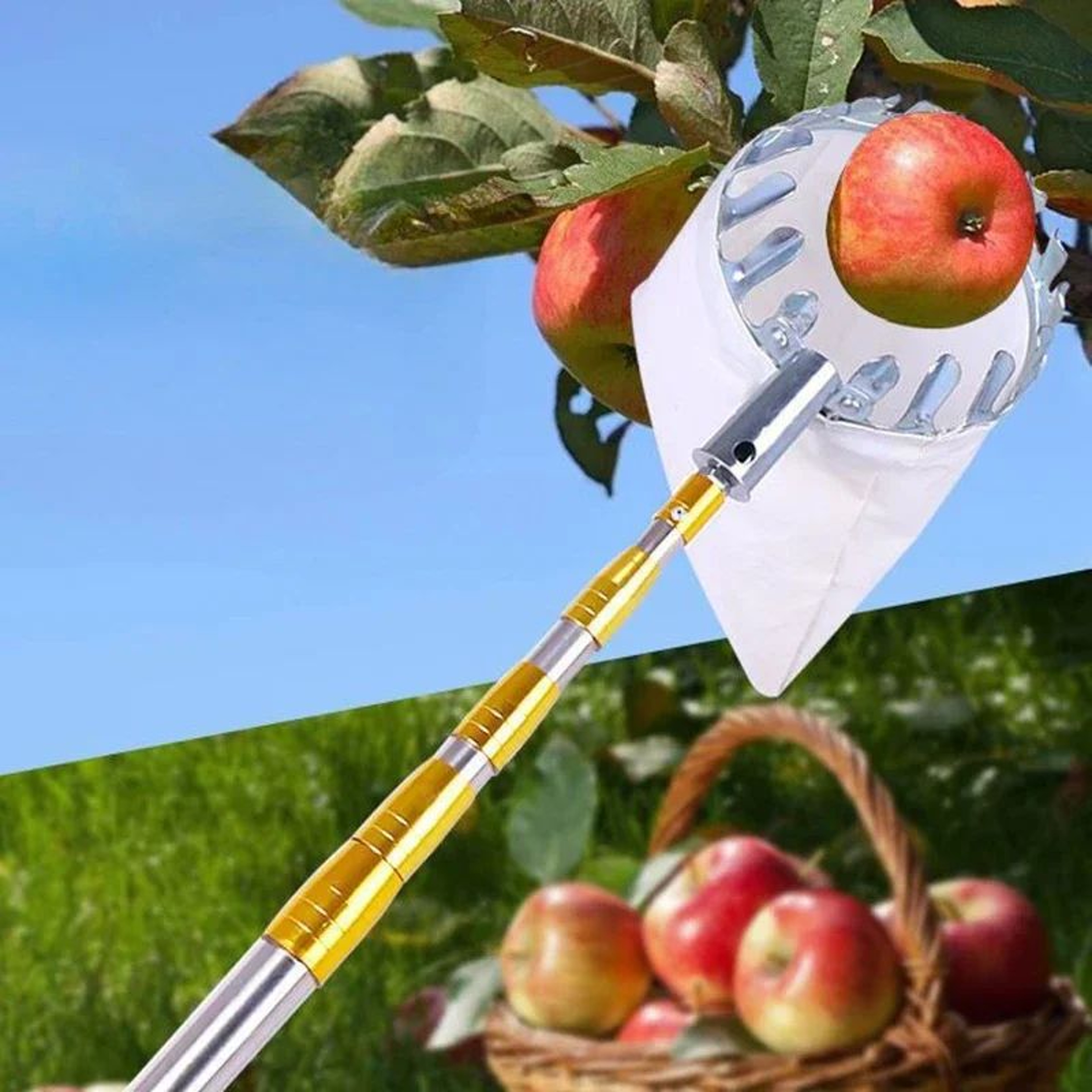 Metal Fruit Picker  Adjustable Telescopic High Tree Fruit Picking Tool With Basket Bag Hook Knife   1