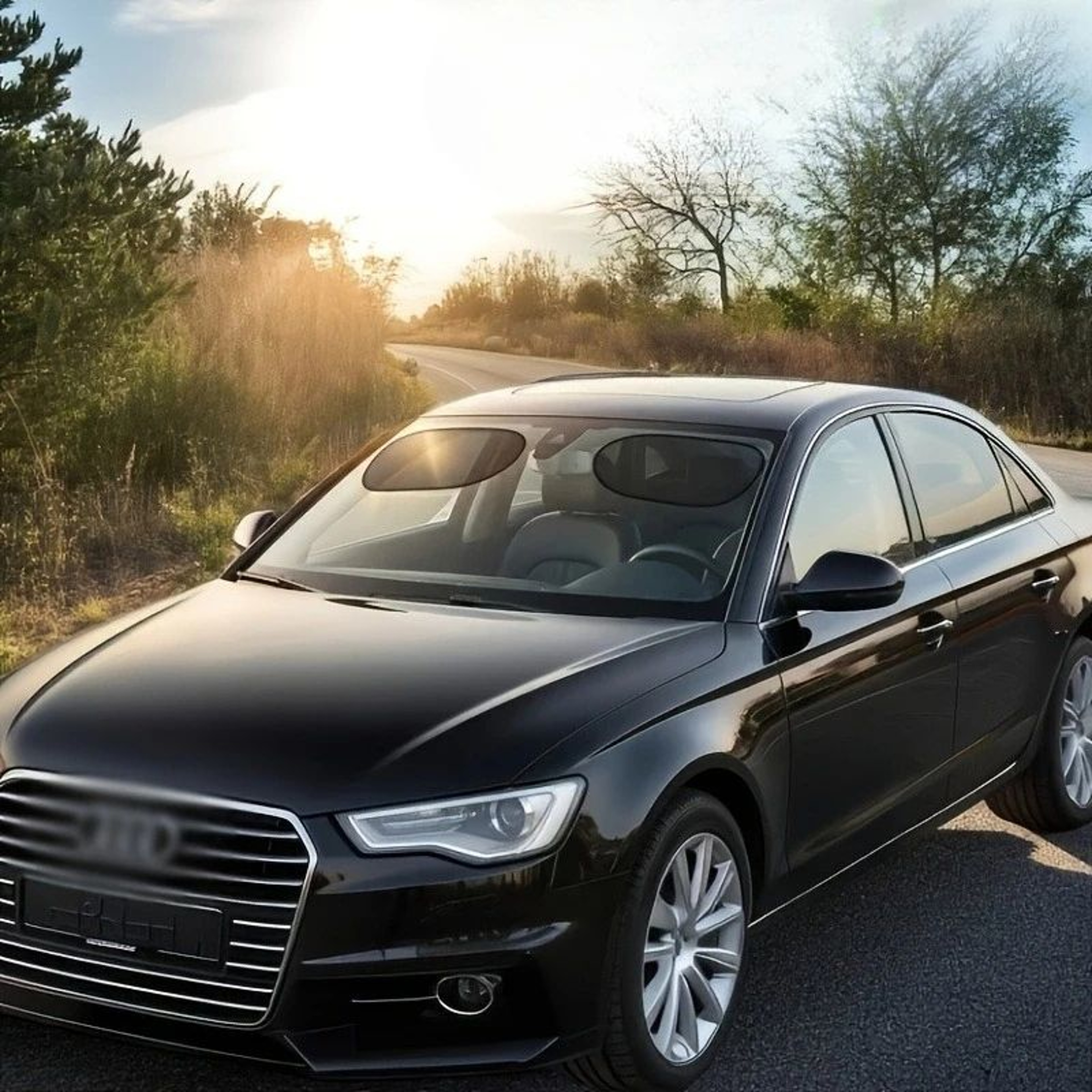 2pcs Polyester Car Window Sunshades  AntiGlare UV Protection For Front Rear Side Windows  Sunroof D 5