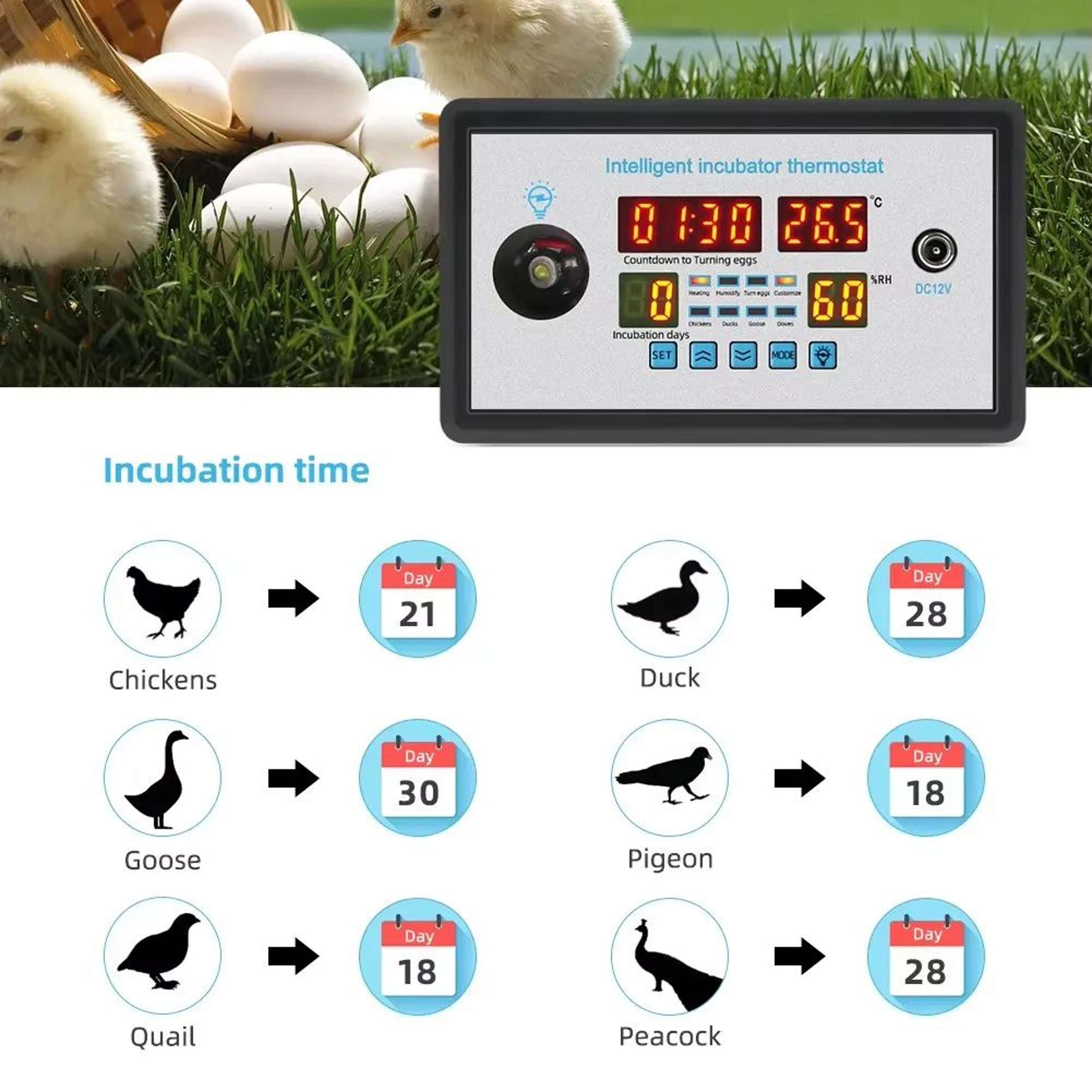 Digital Egg Incubator Controller  Temperature Humidity Sensor  Hatching Countdown Display For Chick 1
