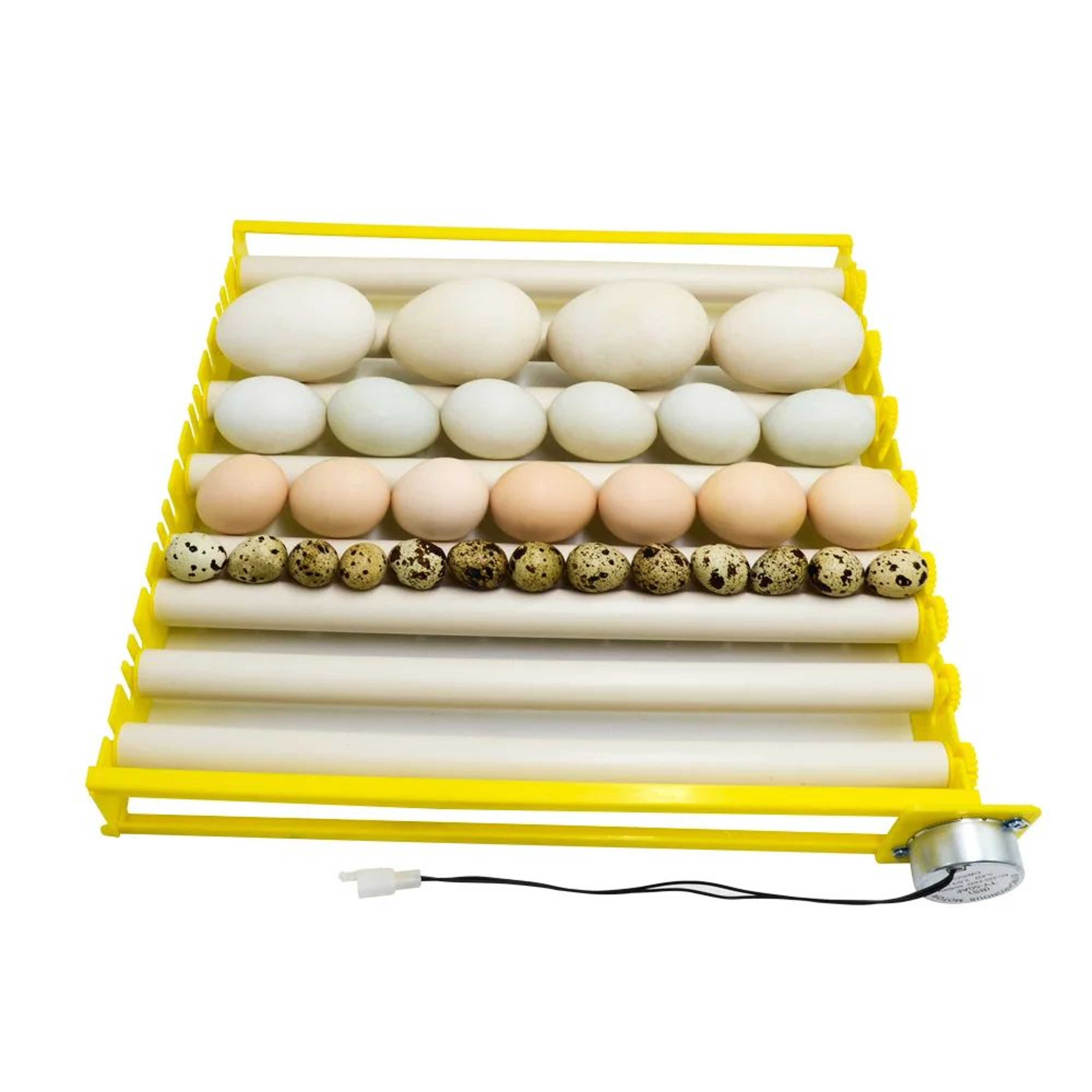 360 Automatic Egg Turner  Rotary Incubator Roller Tray For Chicken Duck Quail Goose Pigeon Eggs 220 2