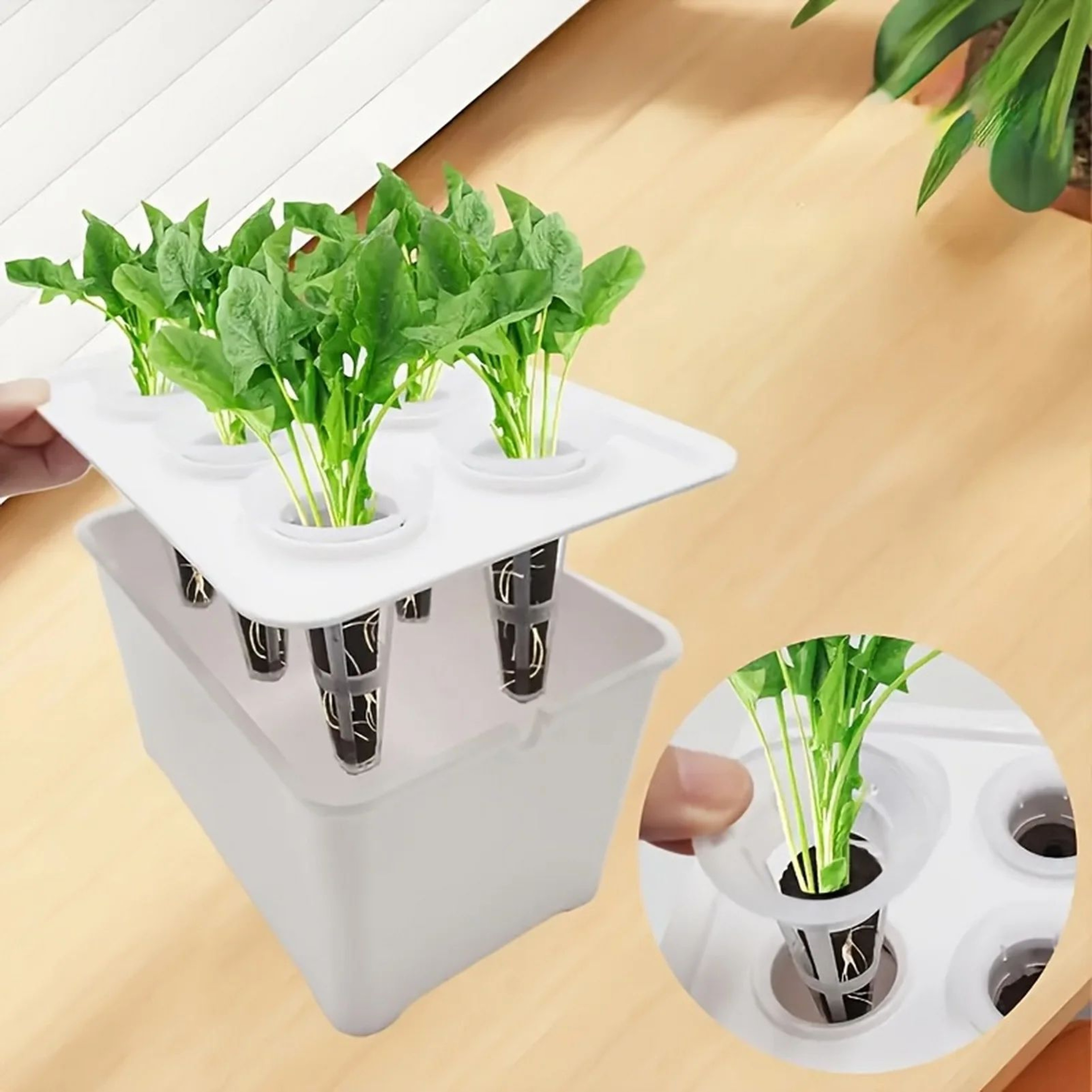 Hydroponic Grower Box With Seedling Cups  Mini SelfWatering Indoor Herb Garden Container For DIY Sm 0