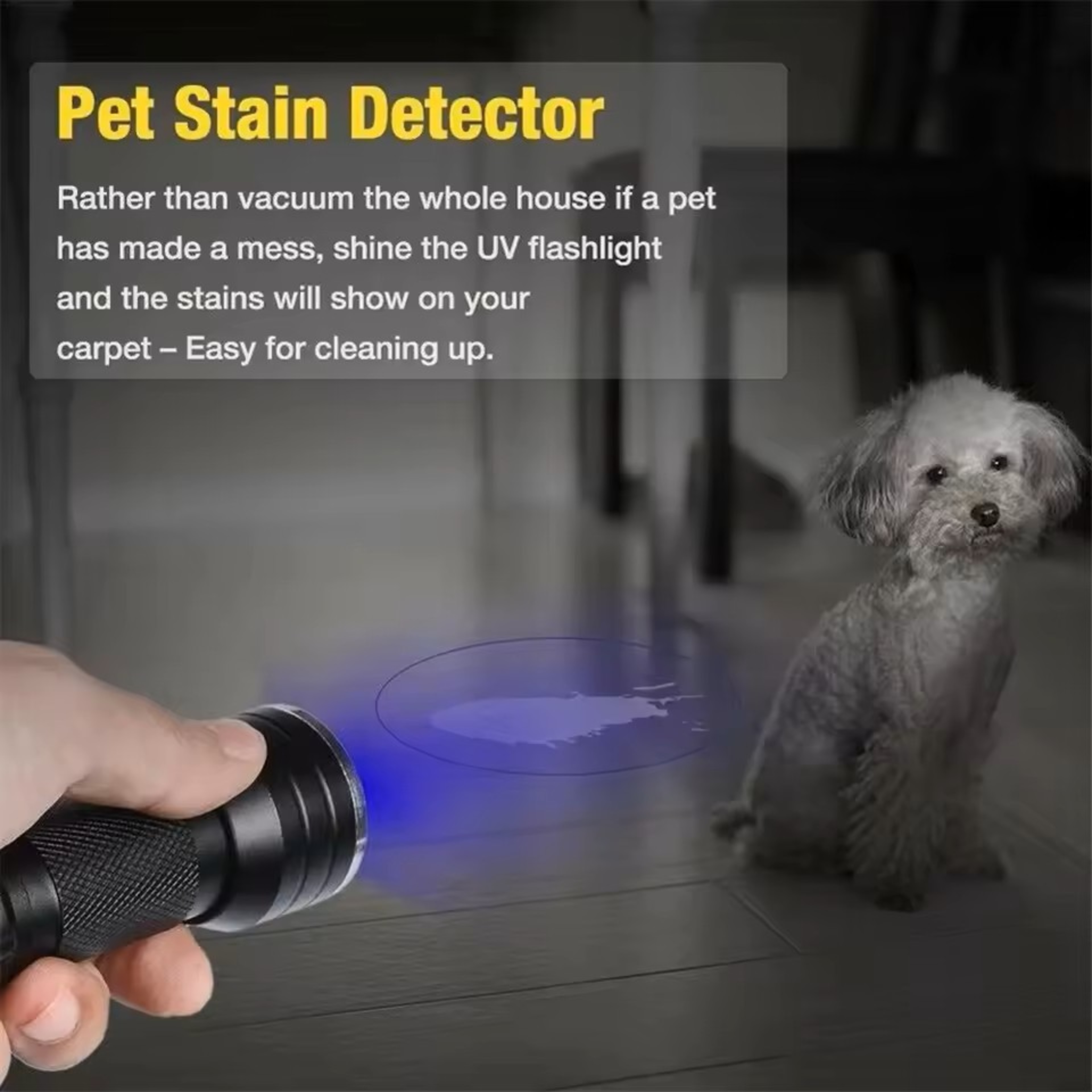 Portable 21 LED UV Ultraviolet Flashlight Blacklight 395 NM Mini Torch – view 11