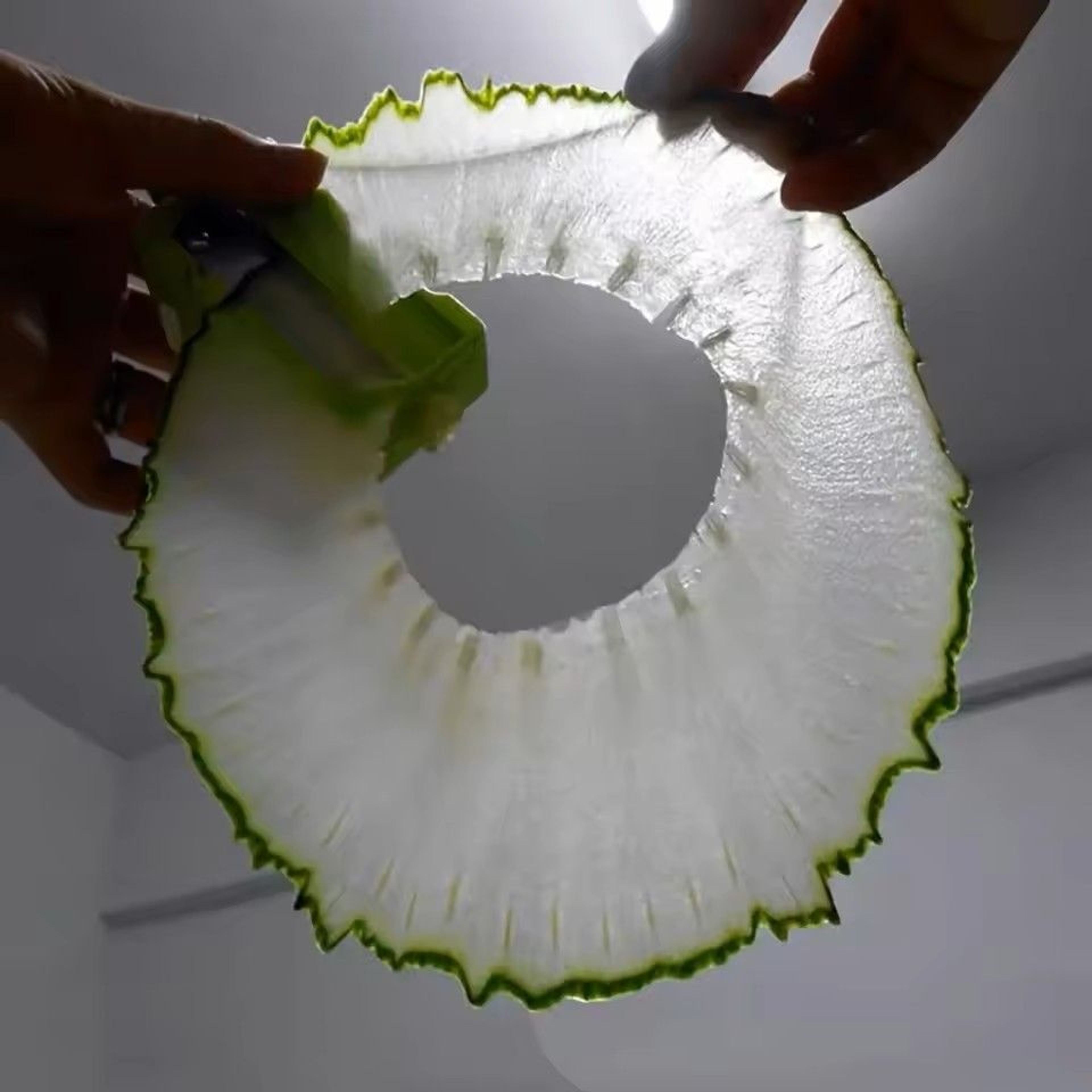Ultra Thin Cucumber Slicer With Mirror Beauty Mask Slicer And Vegetable Peeler 8