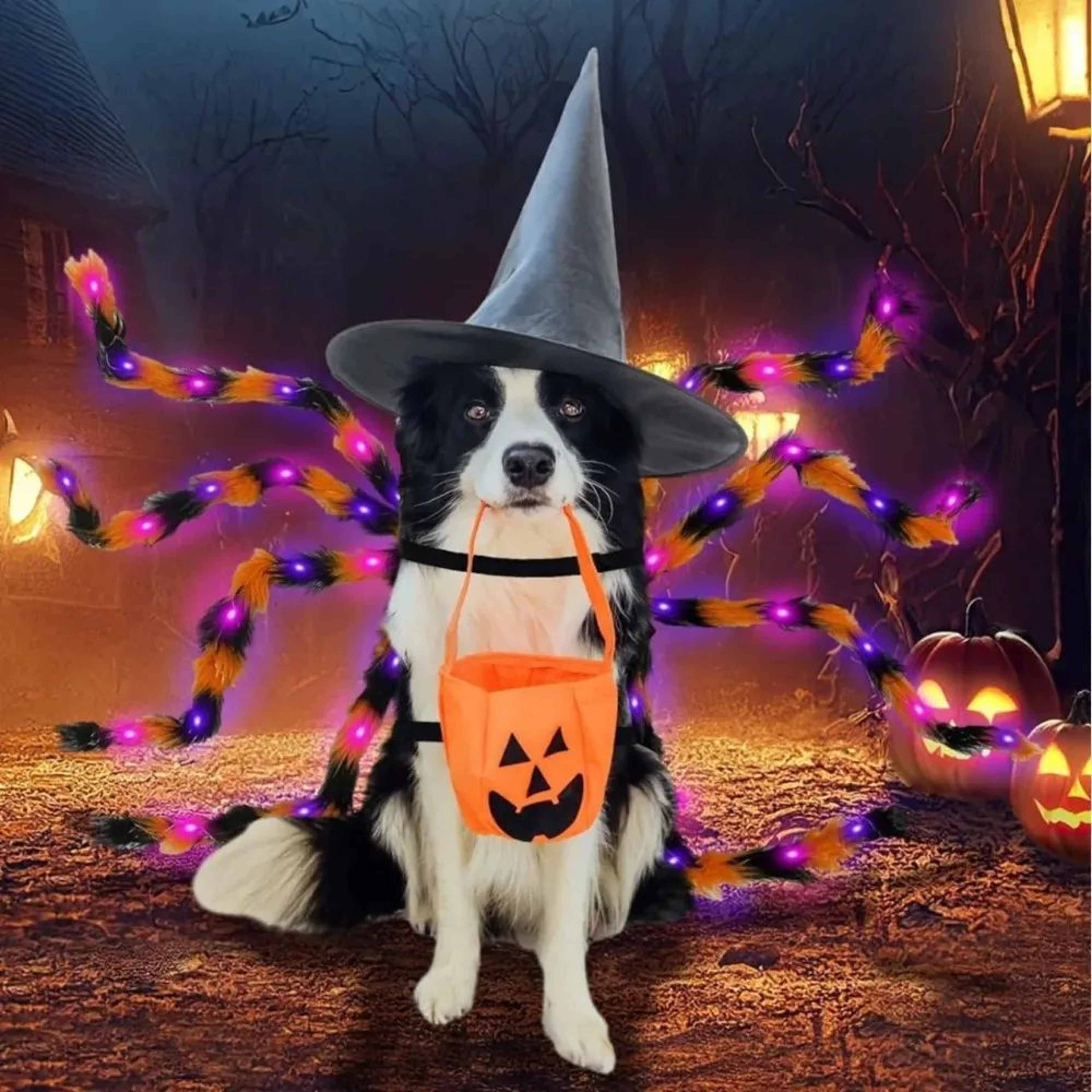 Large Dog Halloween Spider Costume With LED Purple Lights Funny Pet Outfit 4