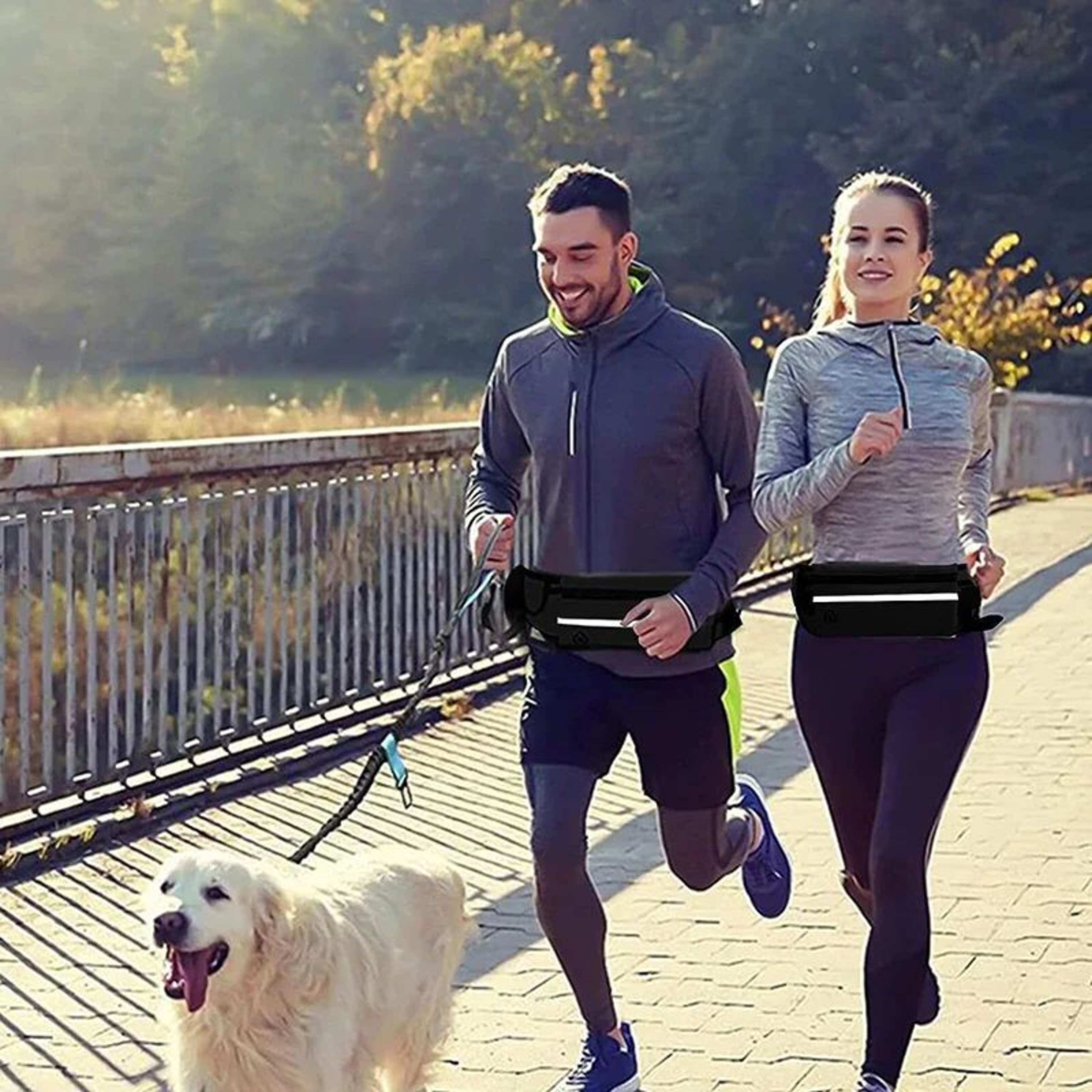 Hands Free Dog Leash For Running And Walking With Reflective Waist Bag And Elastic Belt 3