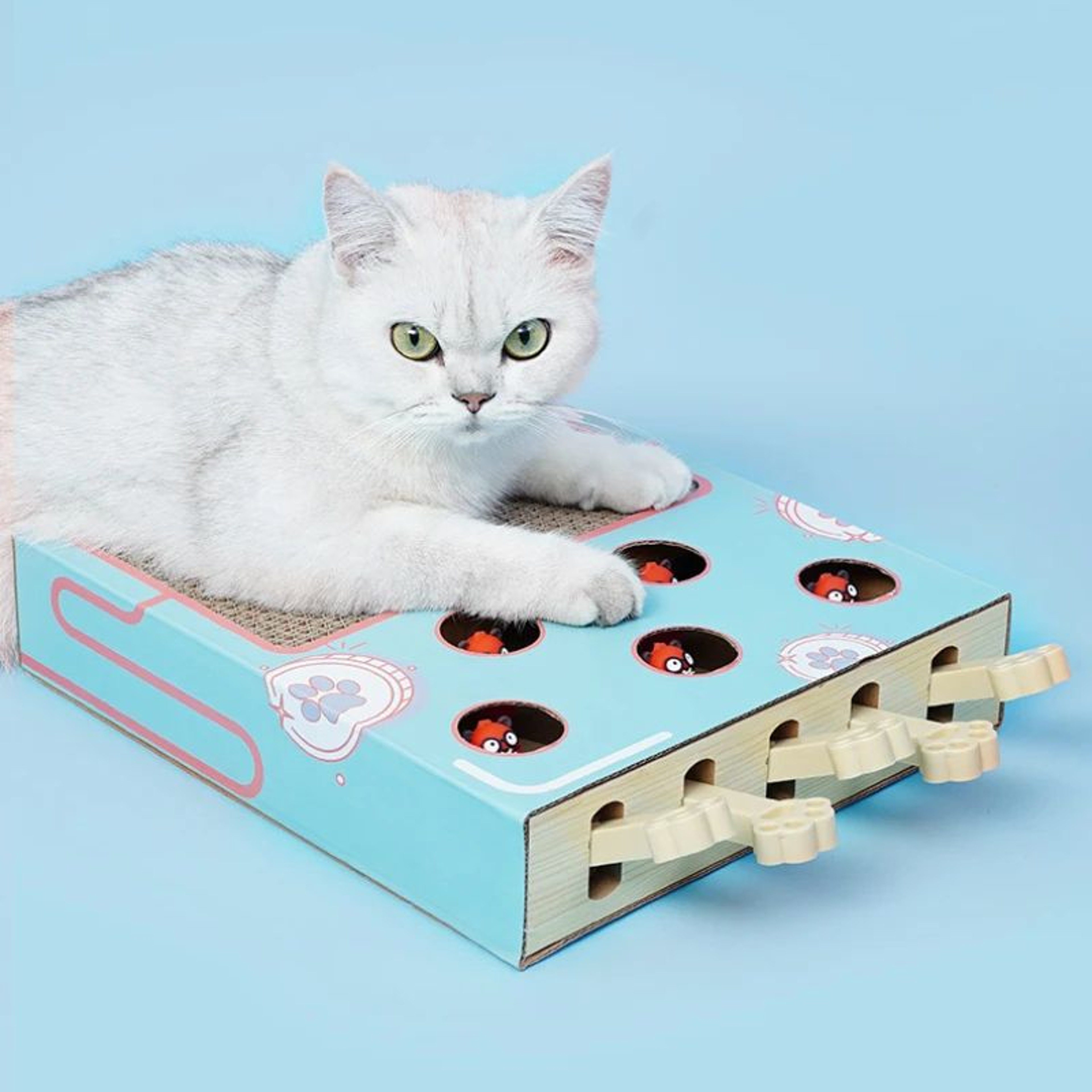 Whack A Mole Cat Toy Interactive Scratching Board And Claw Grinding Play Box 4