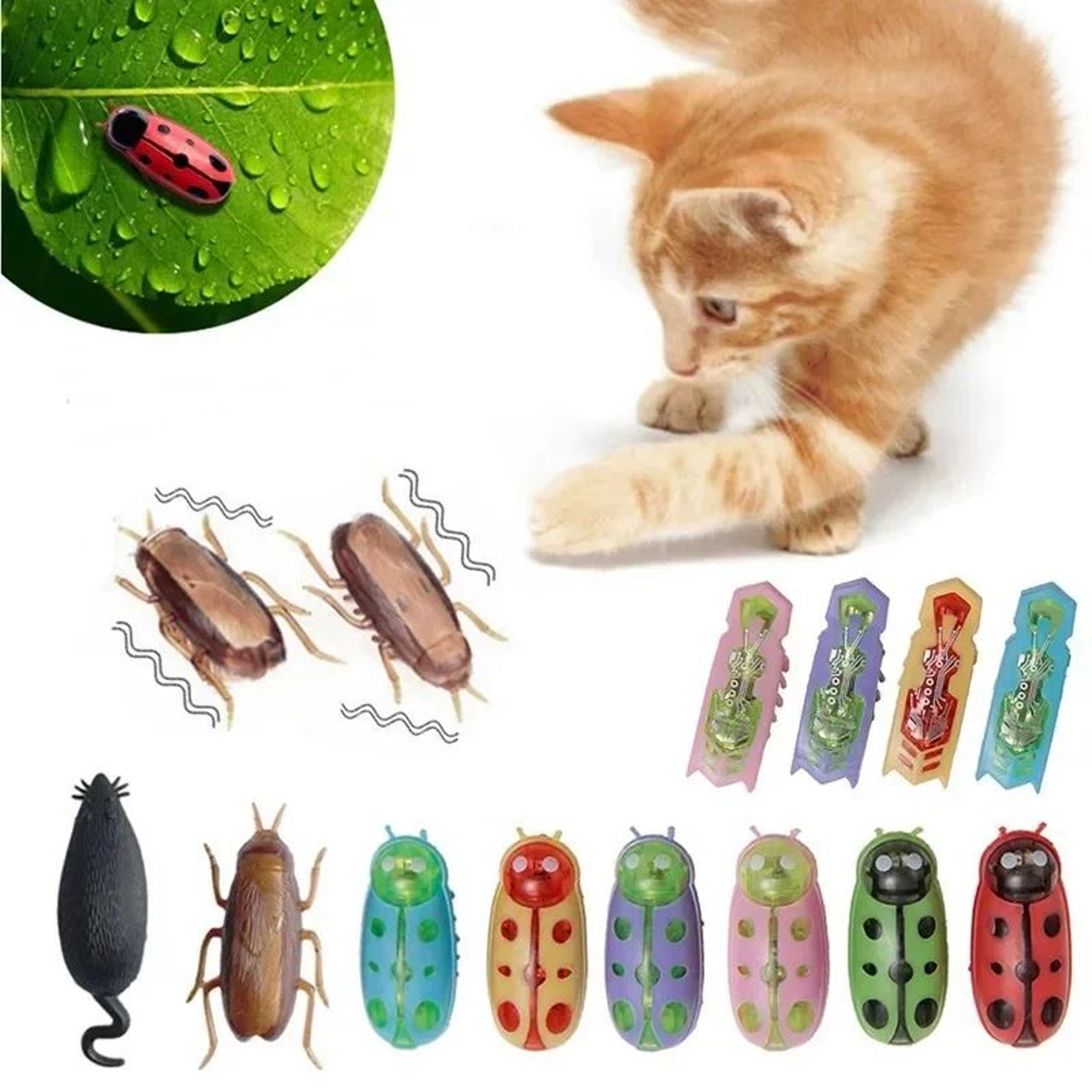 Electric Bug Cat Toy Automatic Mini Robot Insect With Catnip For Cats 0
