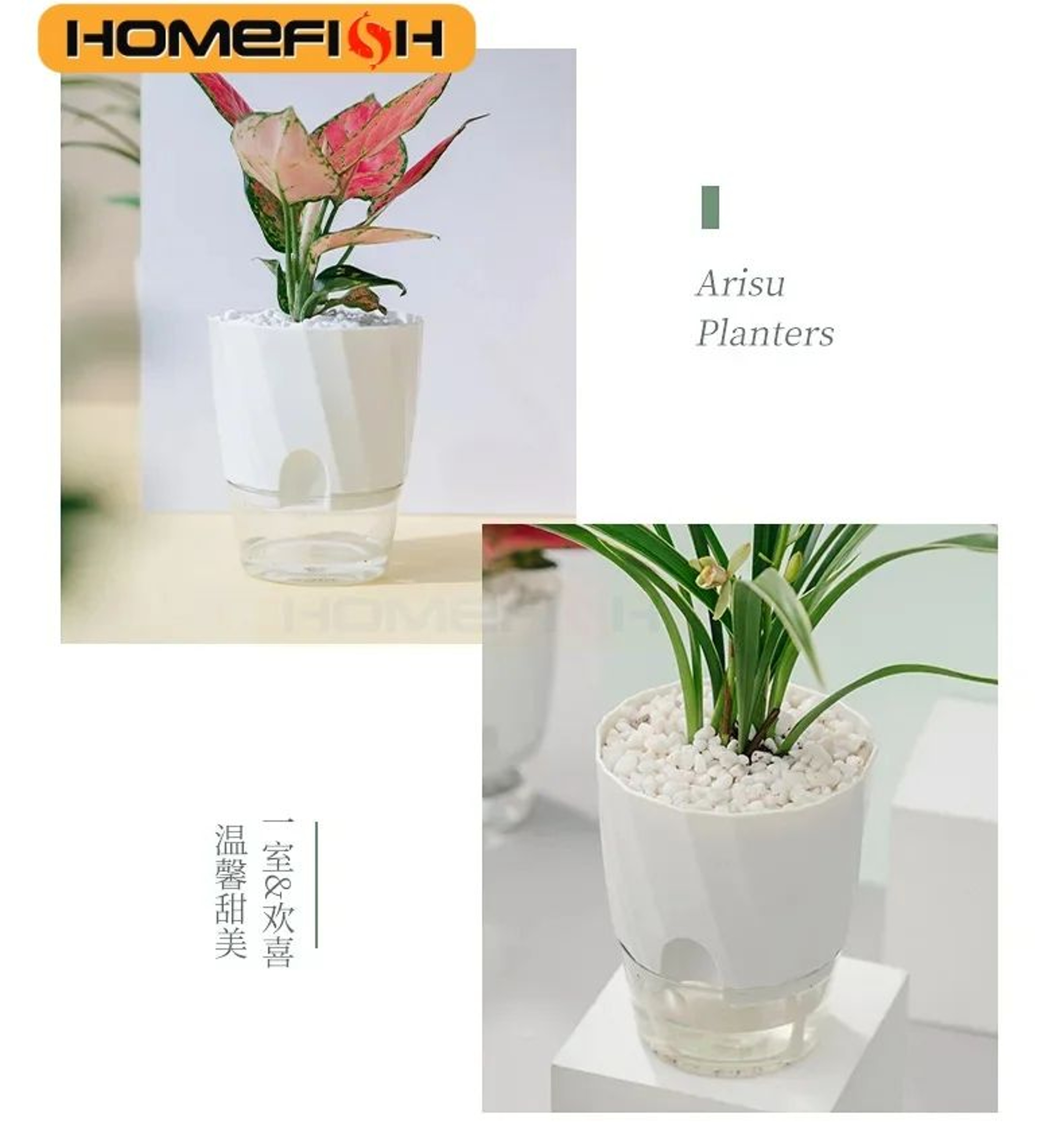 Self Watering Transparent Flower Pot 9
