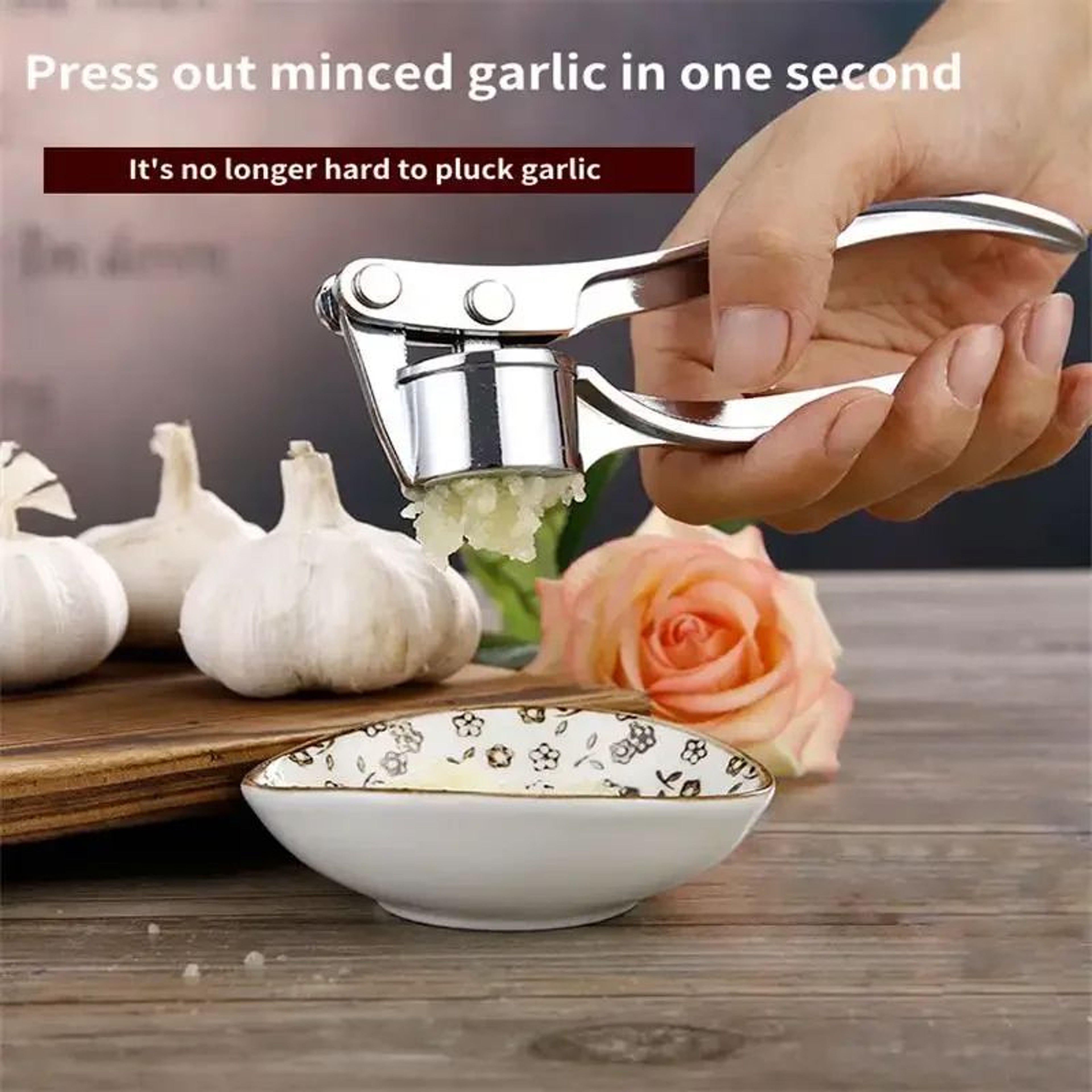 Stainless Steel Garlic Masher And Ginger Press 1