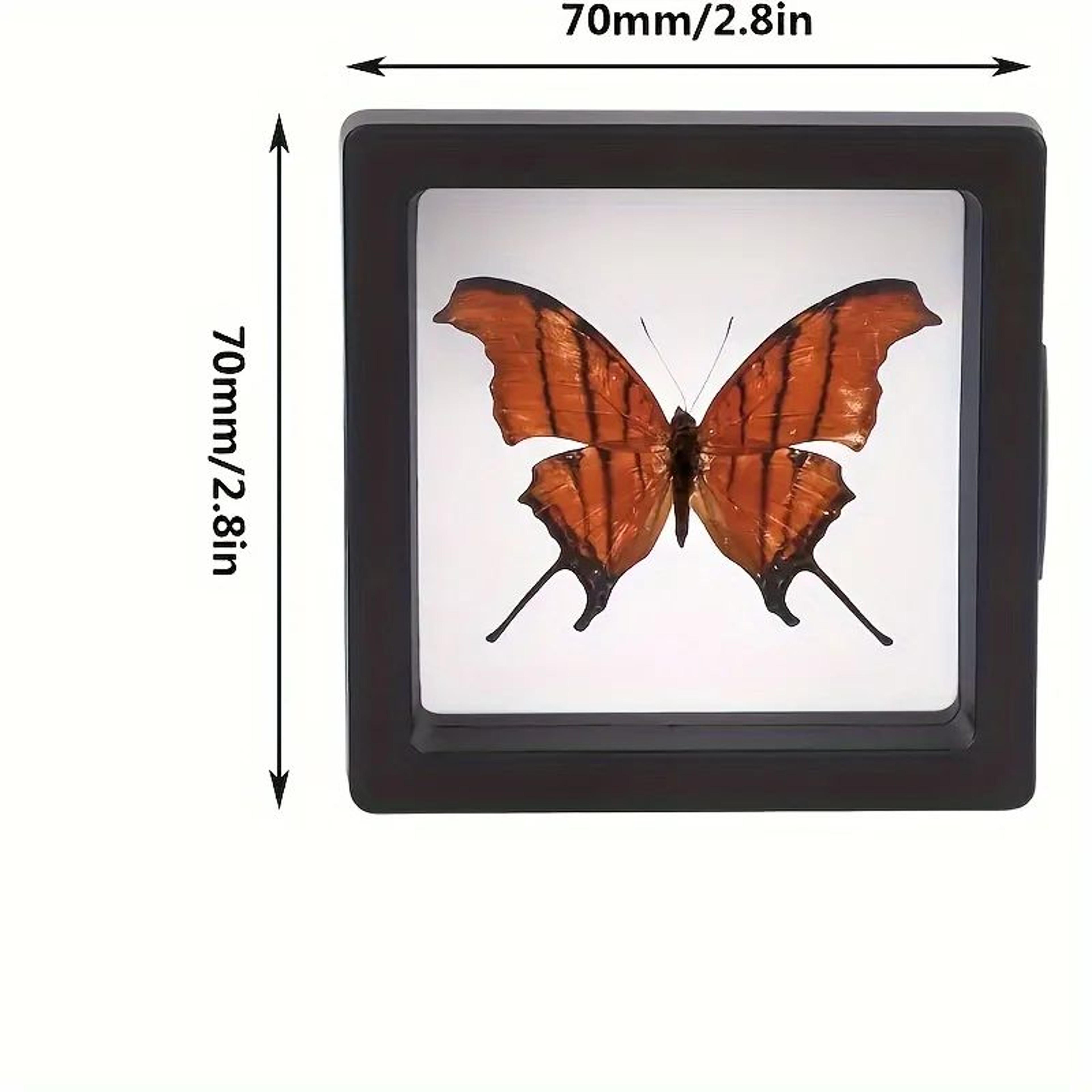 3D Floating Jewelry Display Cases 20 Pack 1