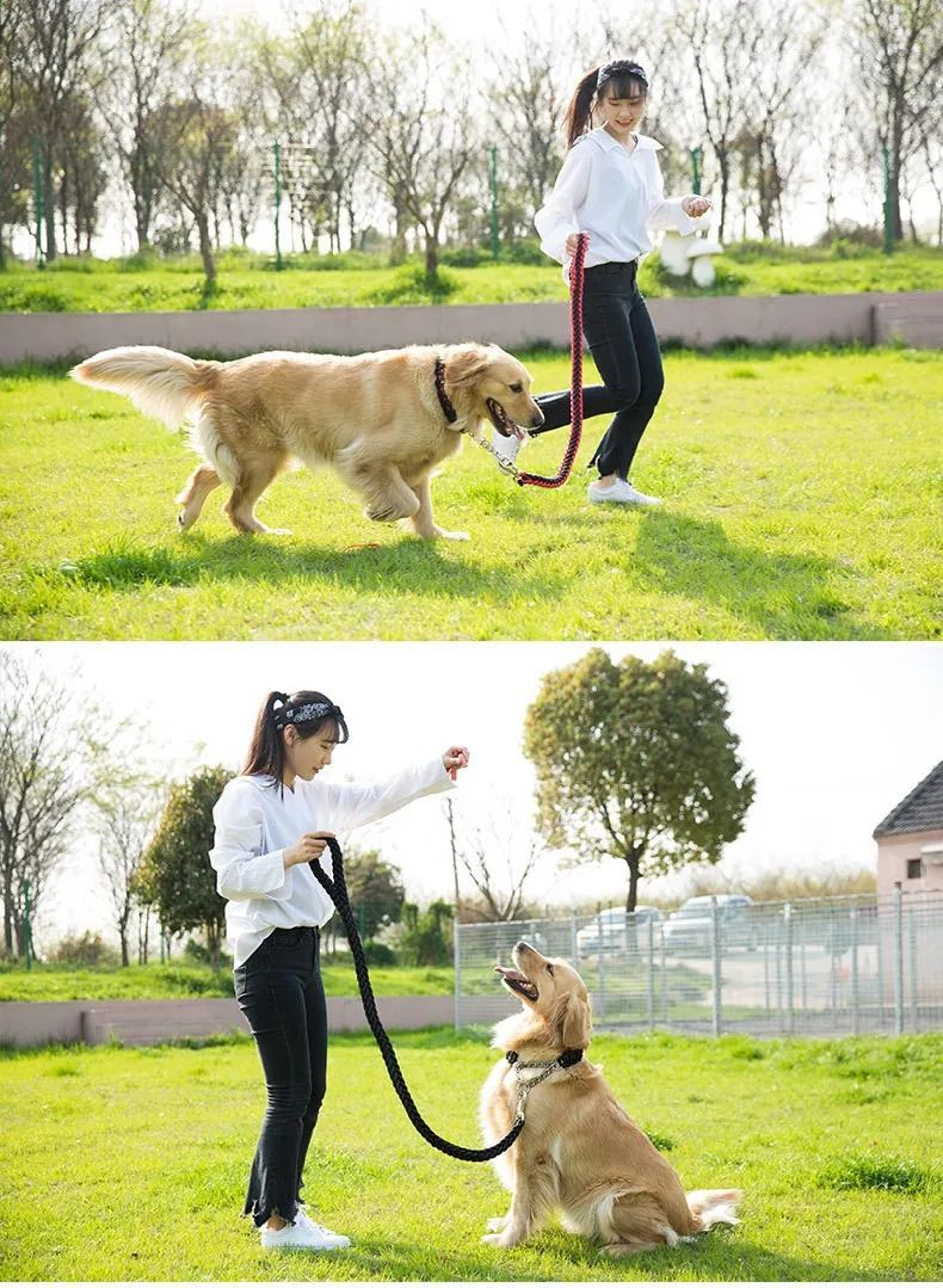 Braided Dog Leash For Training Walks 16