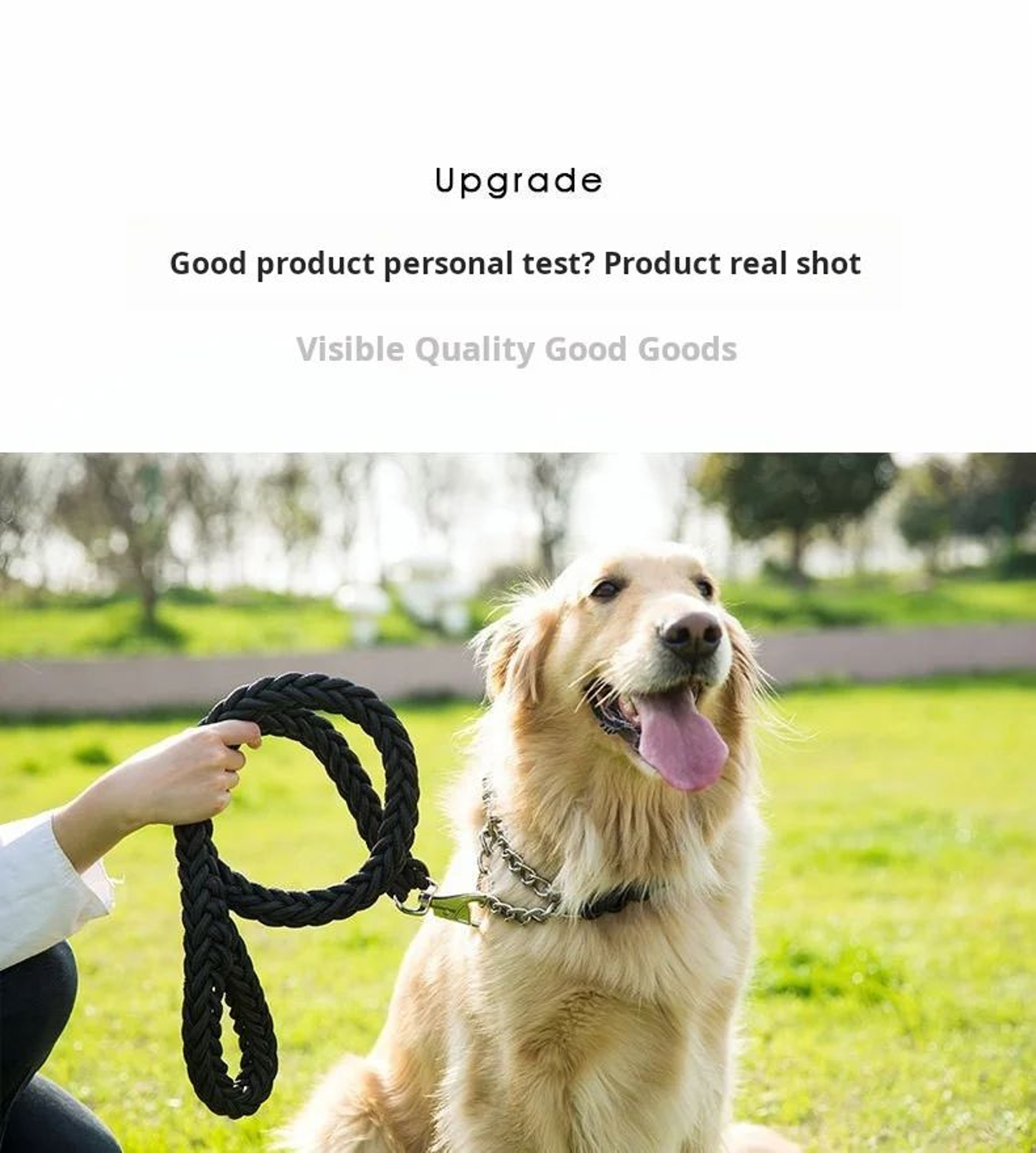 Braided Dog Leash For Training Walks 14