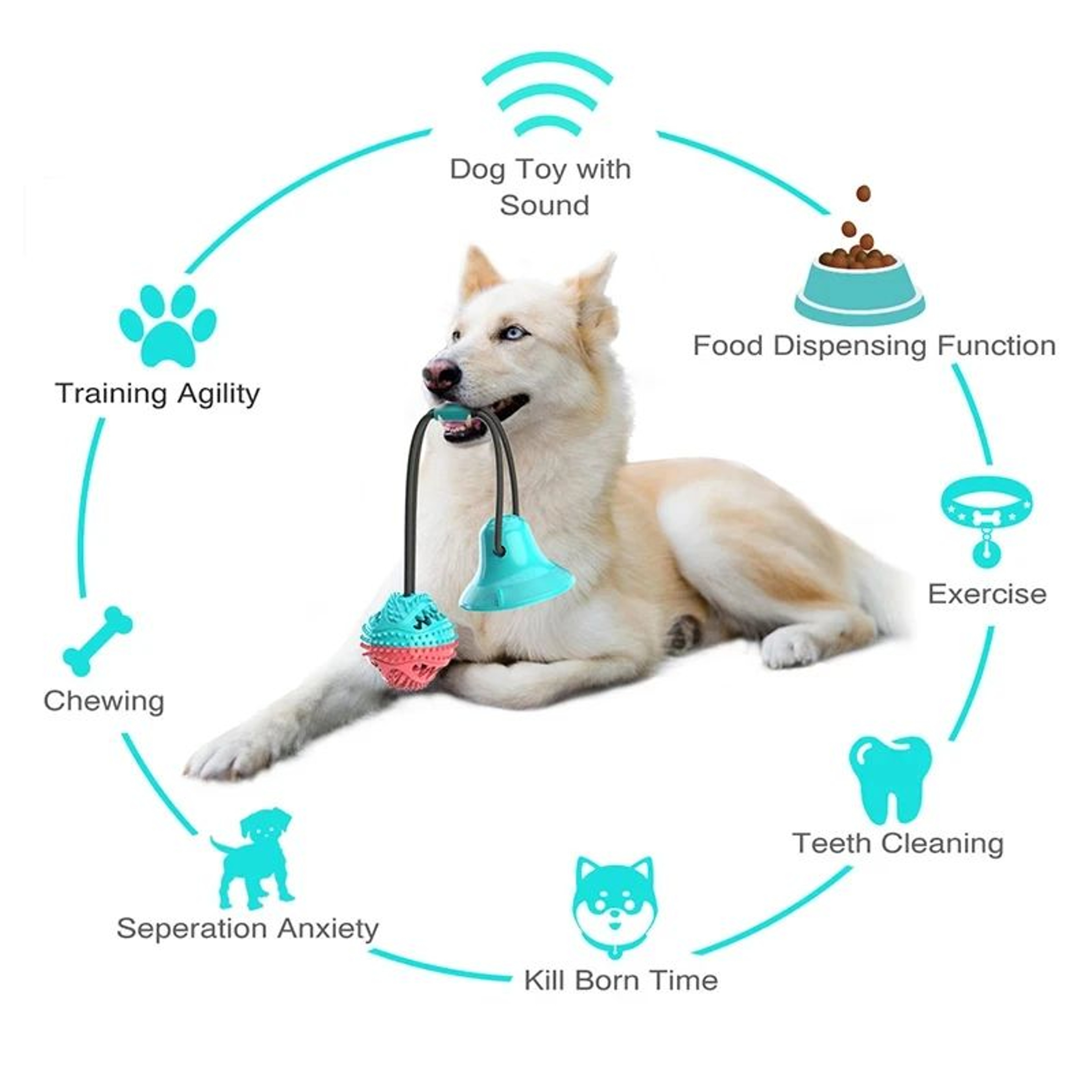 Interactive Suction Cup Dog Chew Ball 2