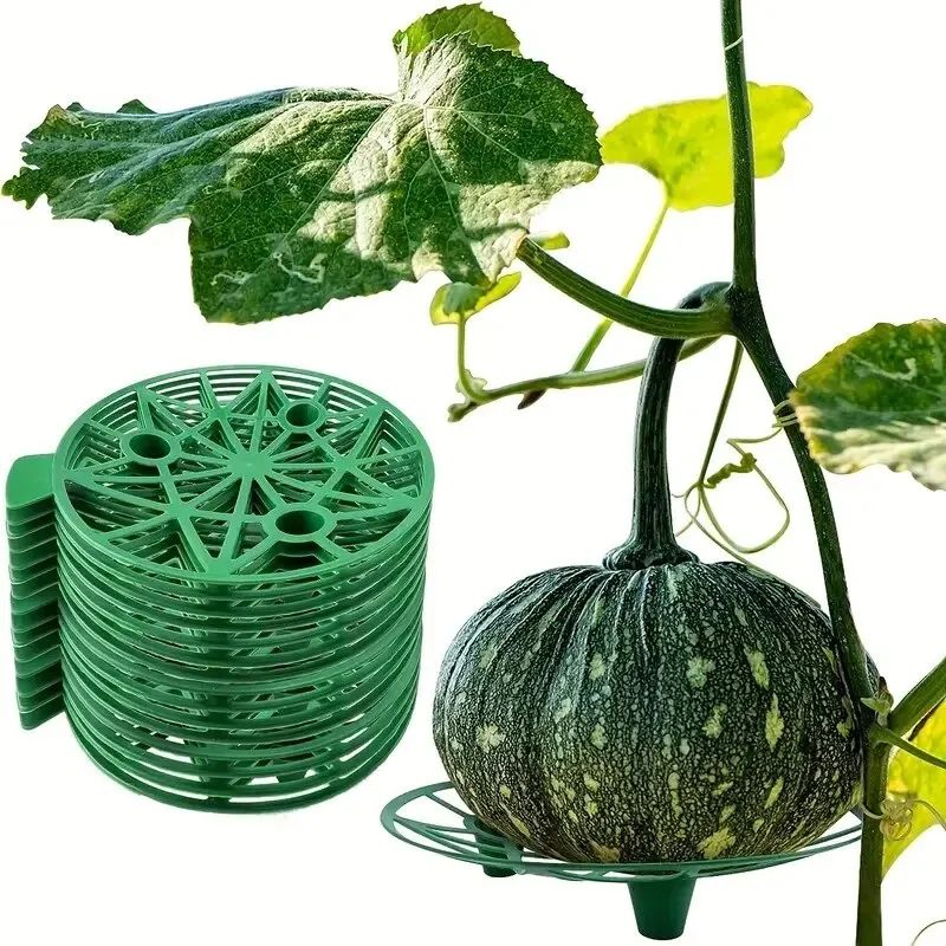 Garden Fruit Support Tray 0