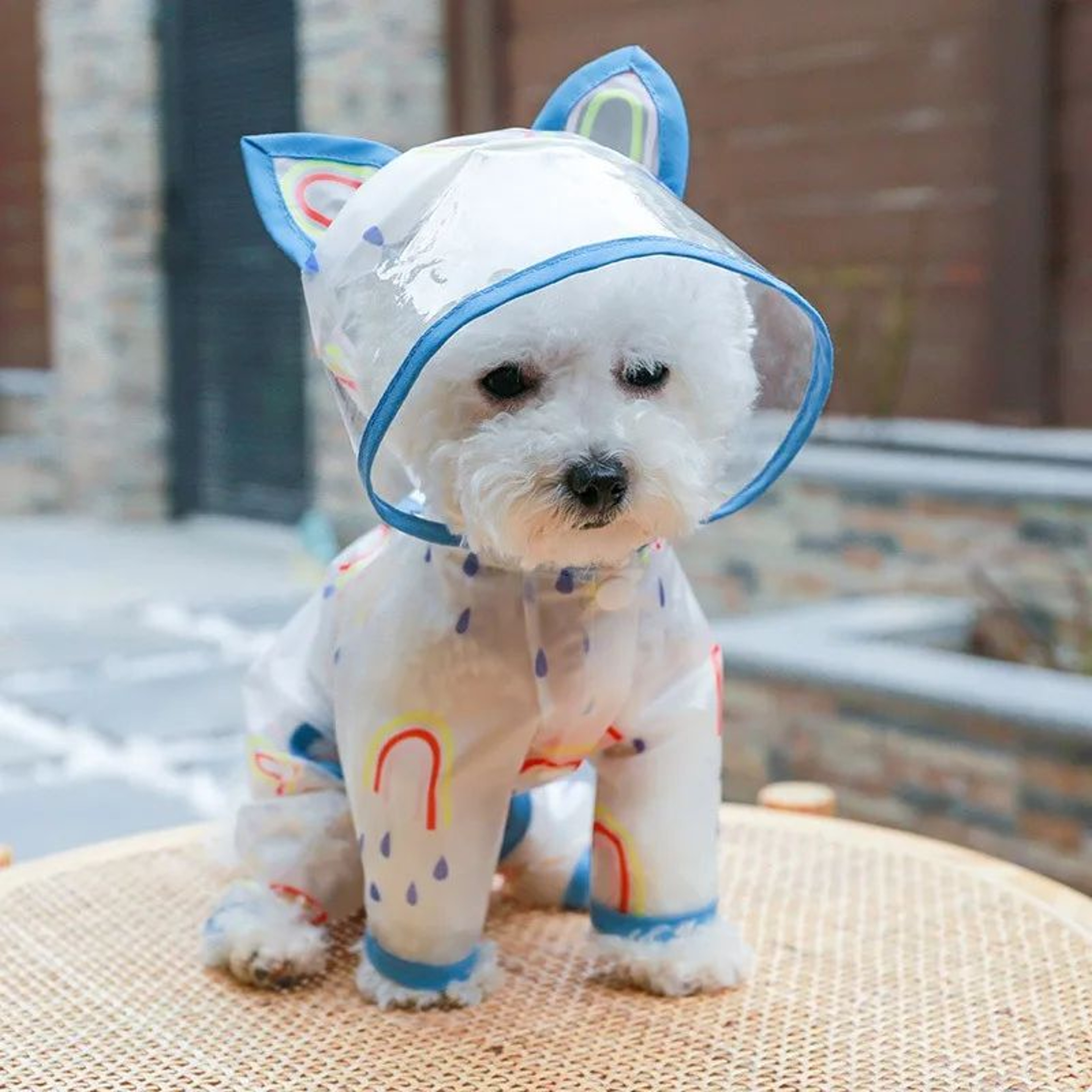 Waterproof Hooded Dog Raincoat 0