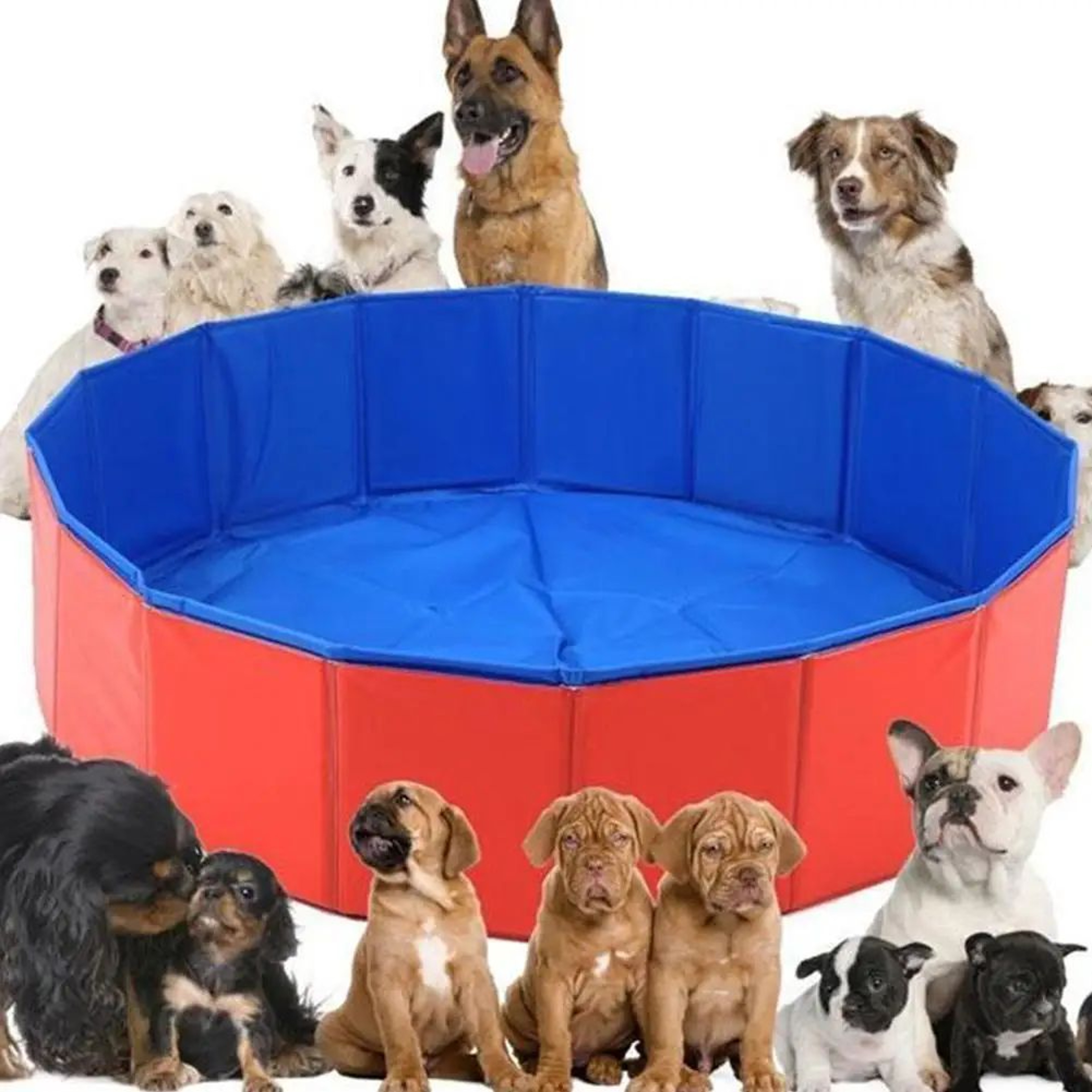 Foldable Pet Bathing Tub Pool 5