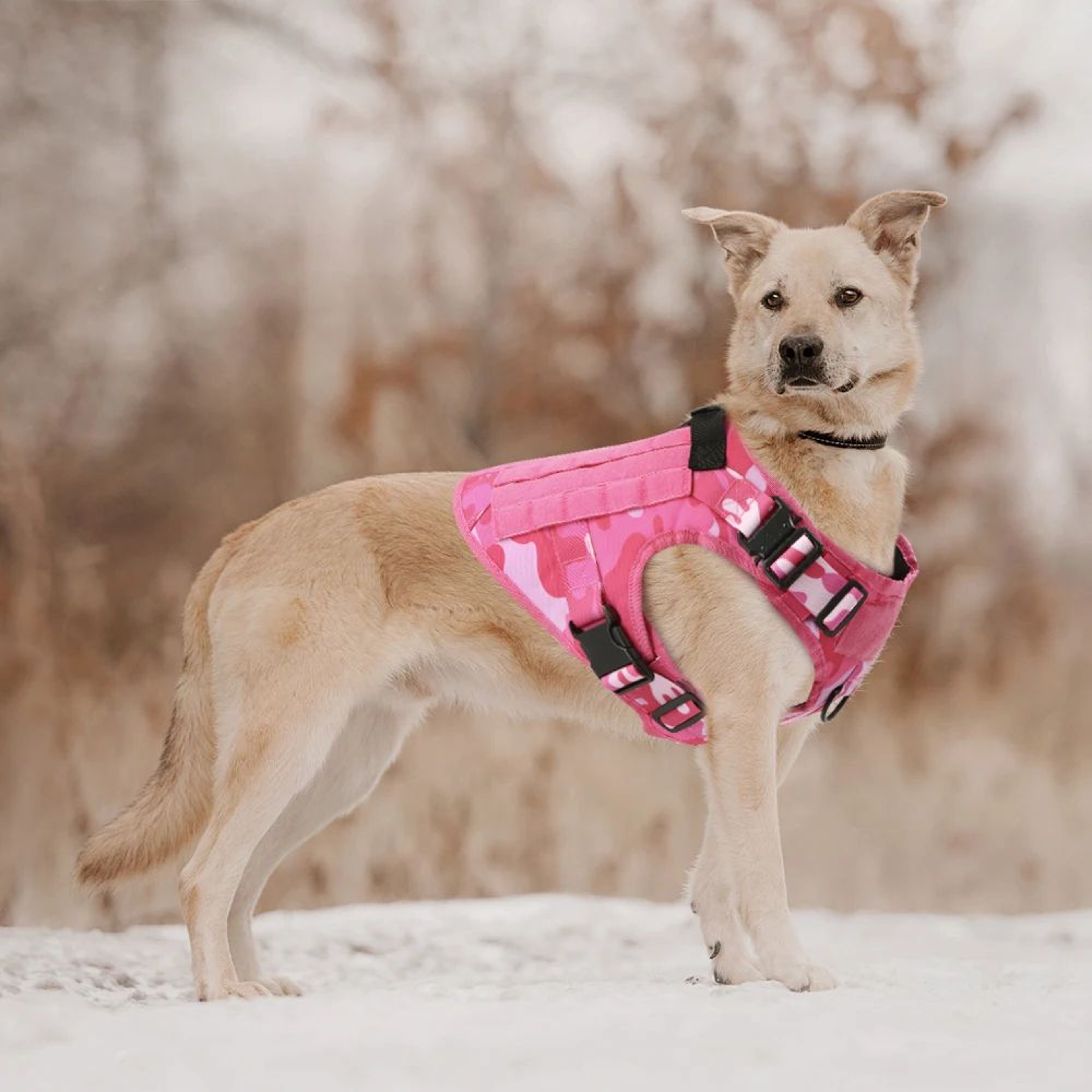 Pink Camouflage Tactical Dog Harness 6