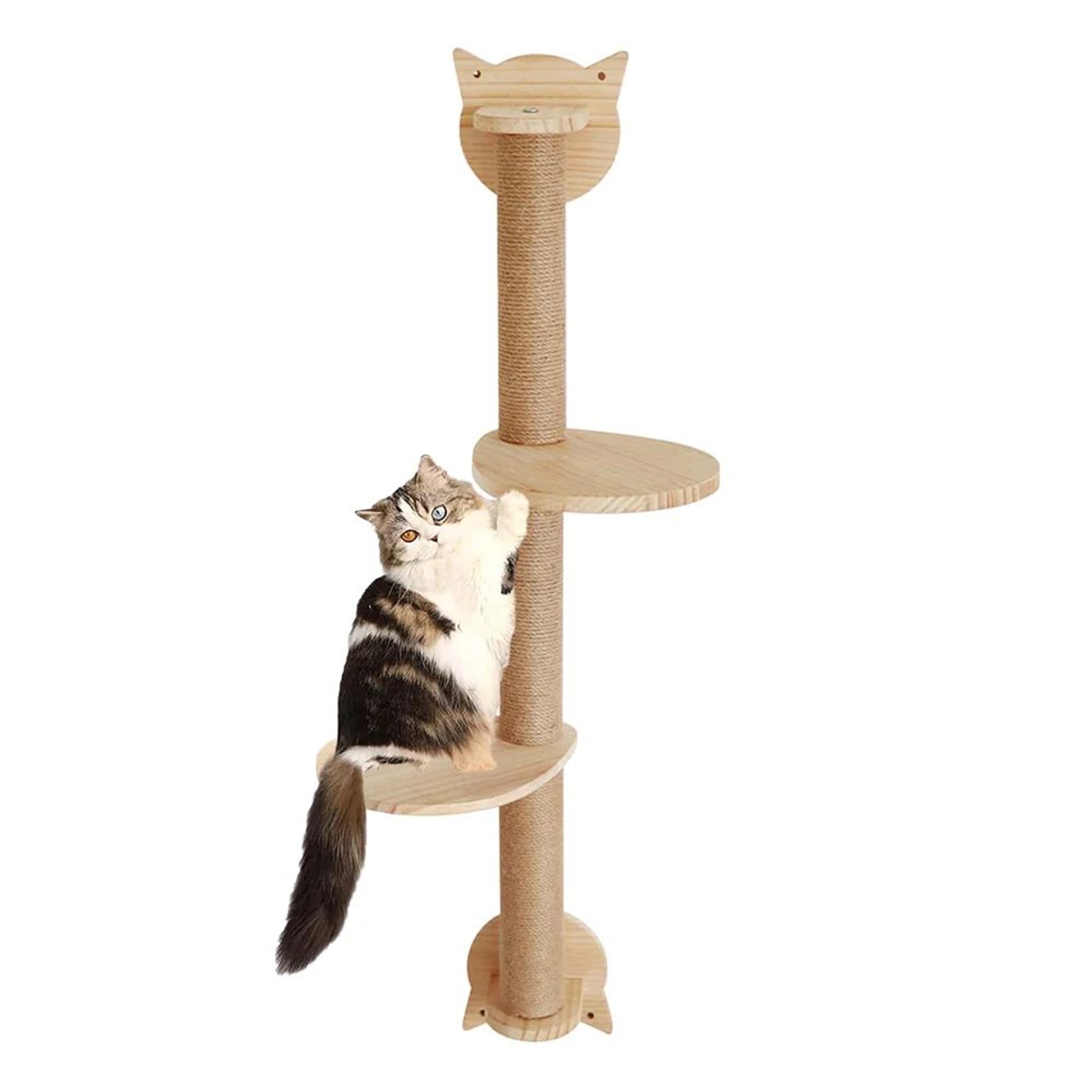 Wall Mounted Cat Tree With Hammock 2