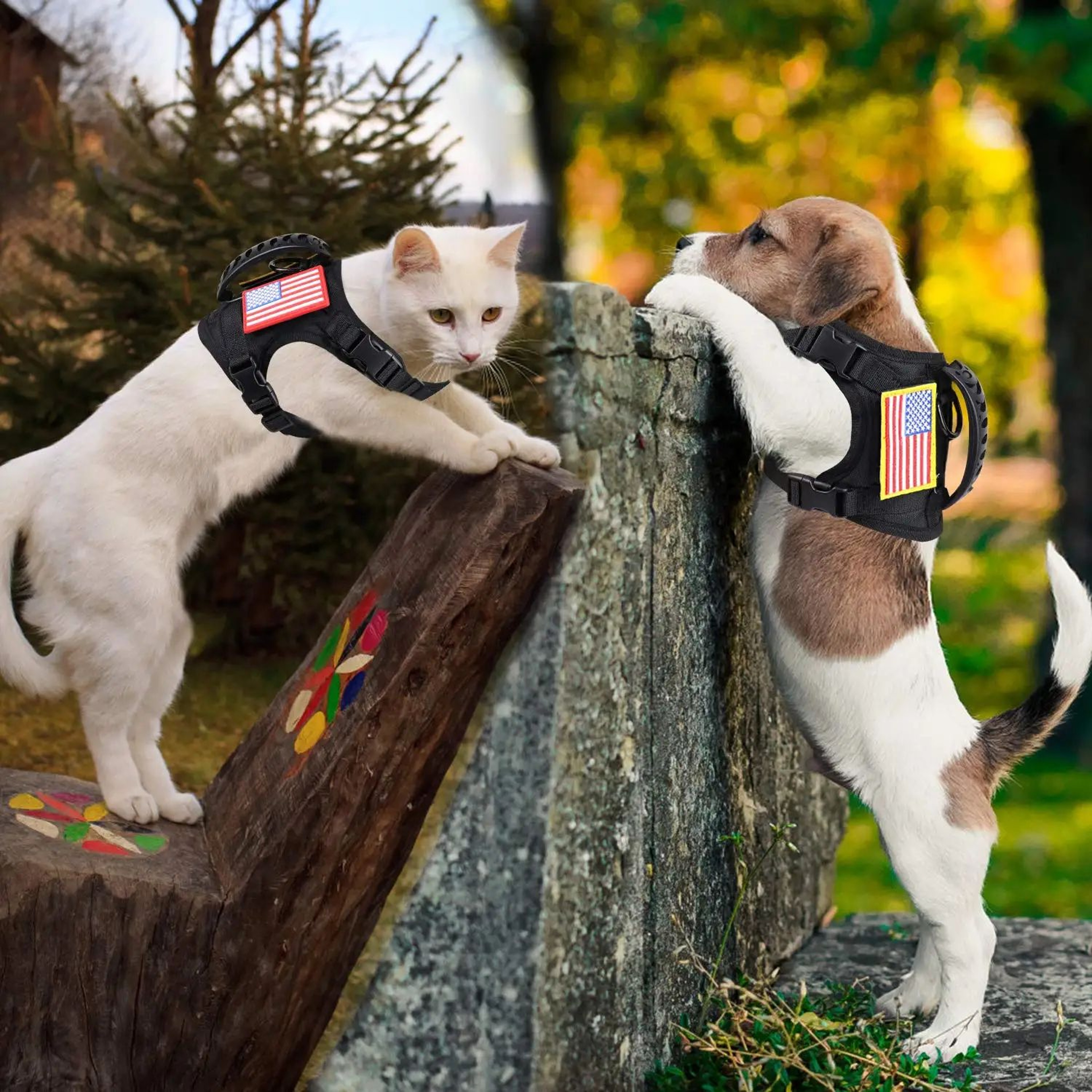 Tactical Puppy Harness And Leash Set 3