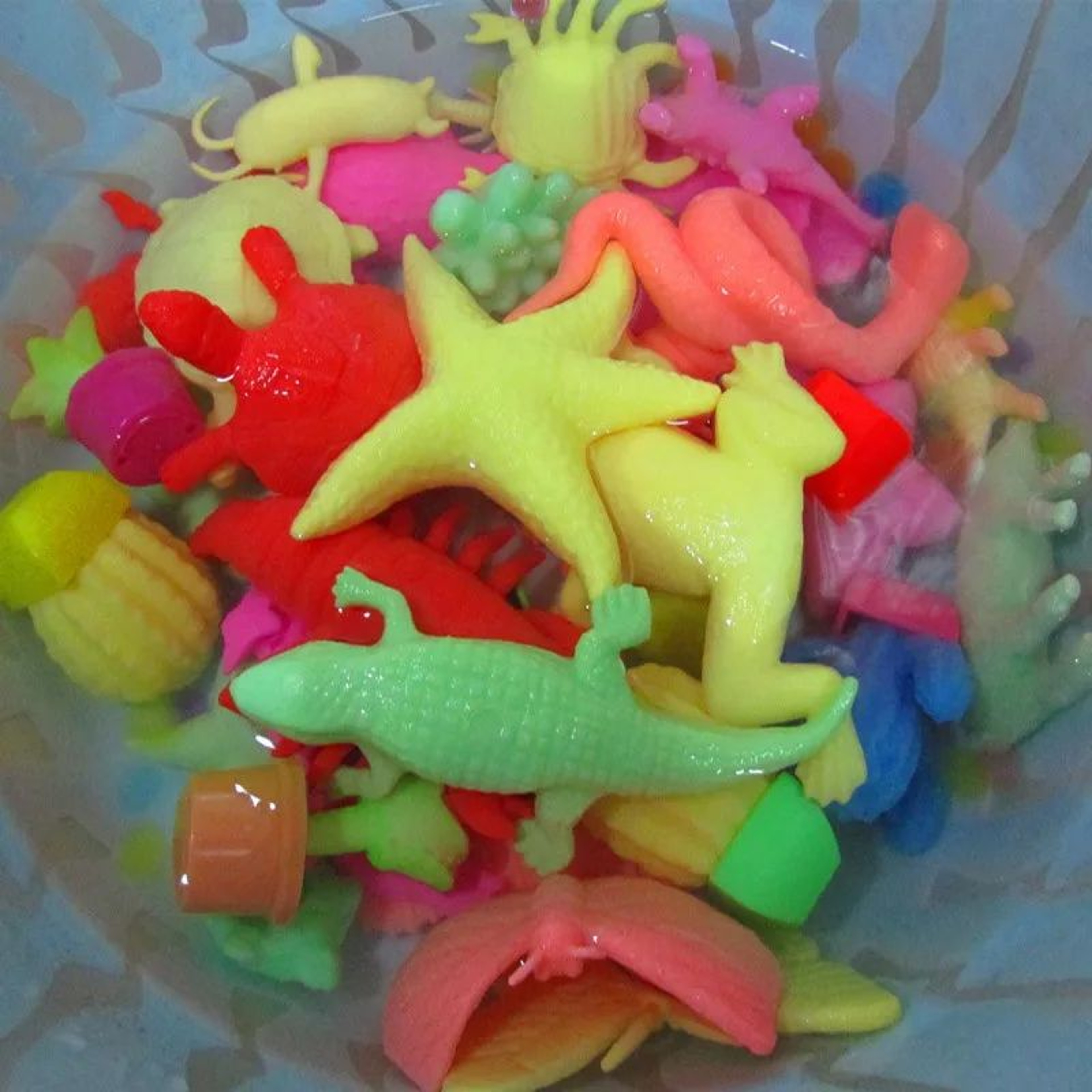 Growing Ocean Animal Toys Set 5