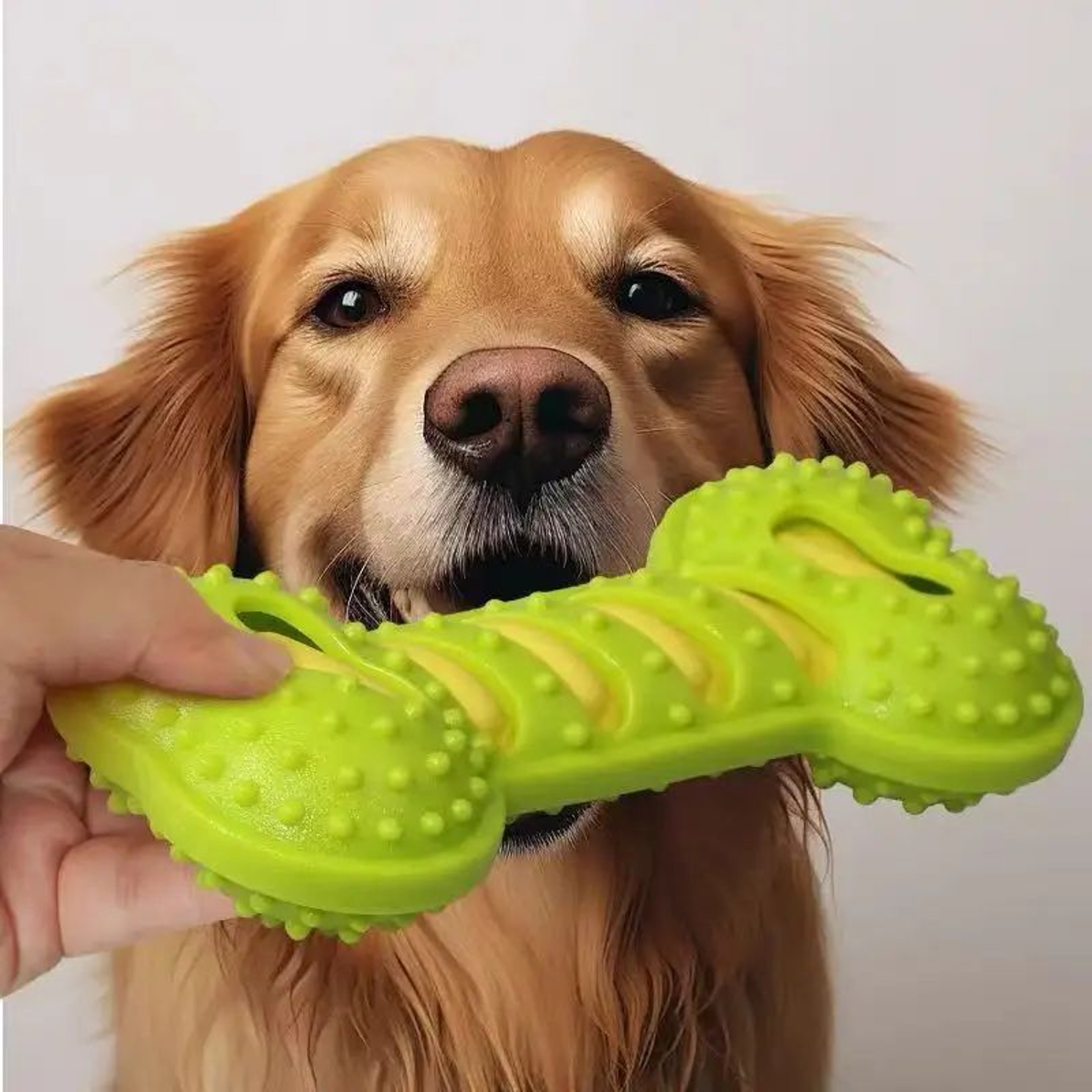 Rubber Bone Squeaky Dog Chew Toy 7