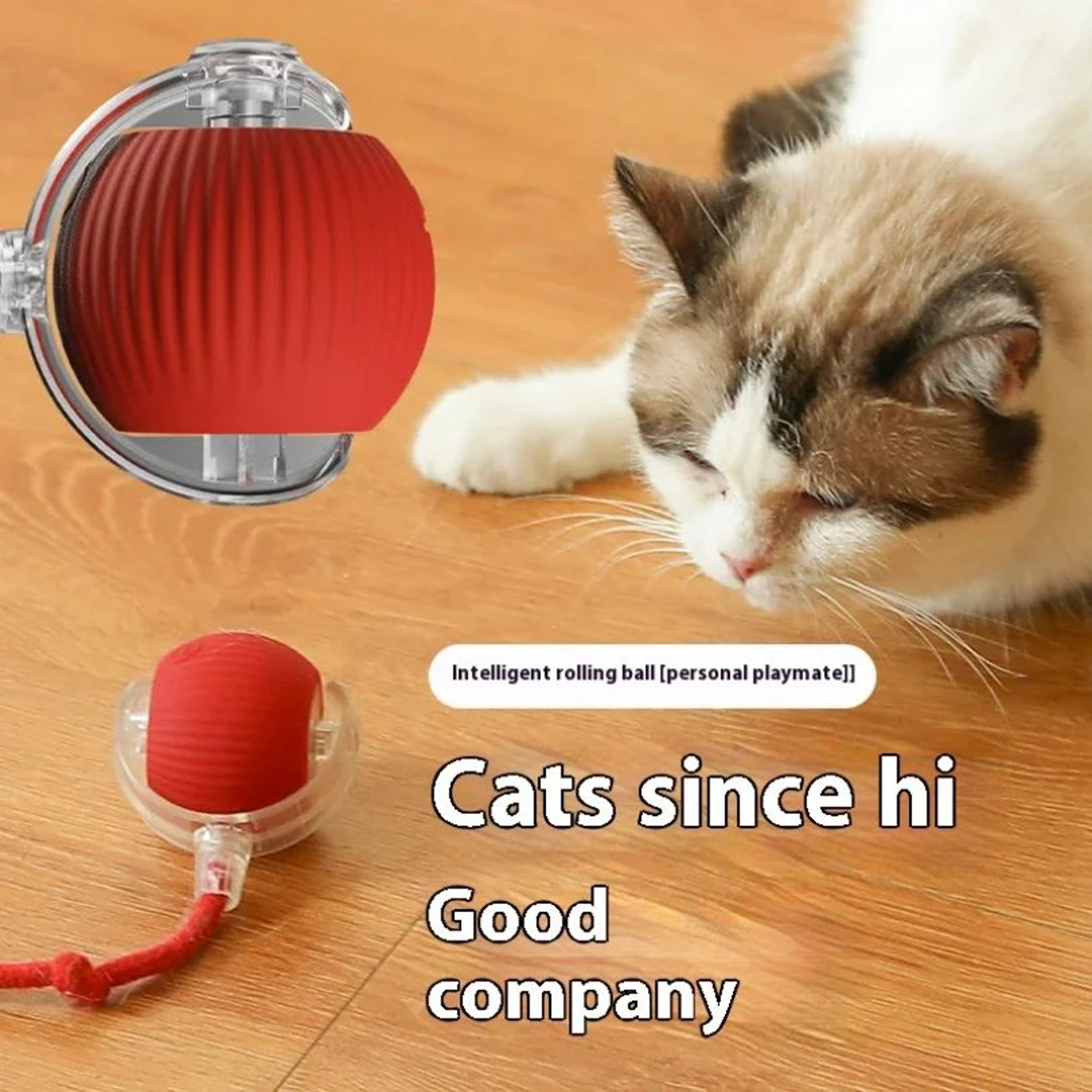 Rechargeable Smart Interactive Cat Ball Toy 3