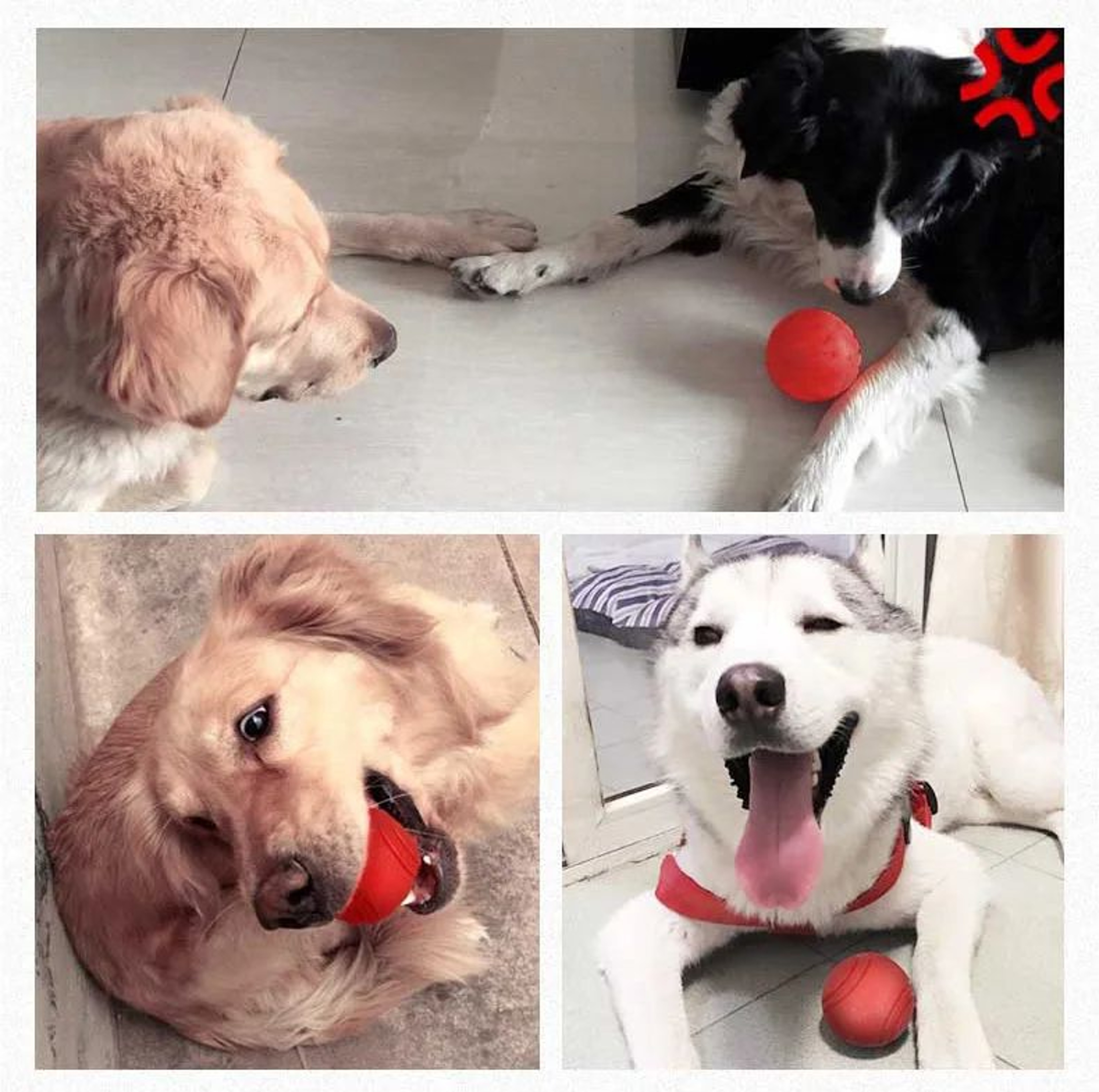 HOOPET Bite Resistant Rubber Dog Ball 6