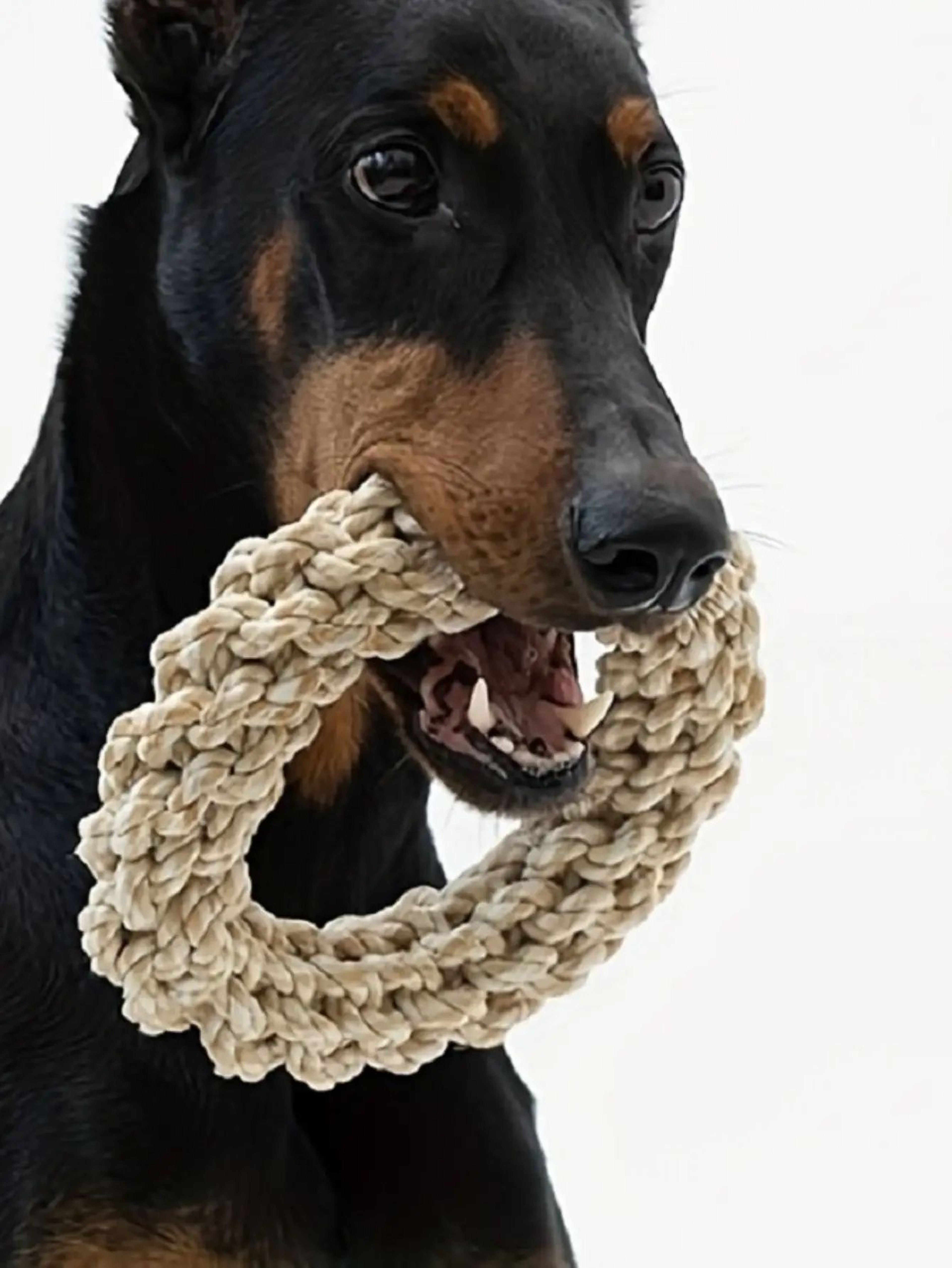 Durable Rope Chew Toy For Dogs 0