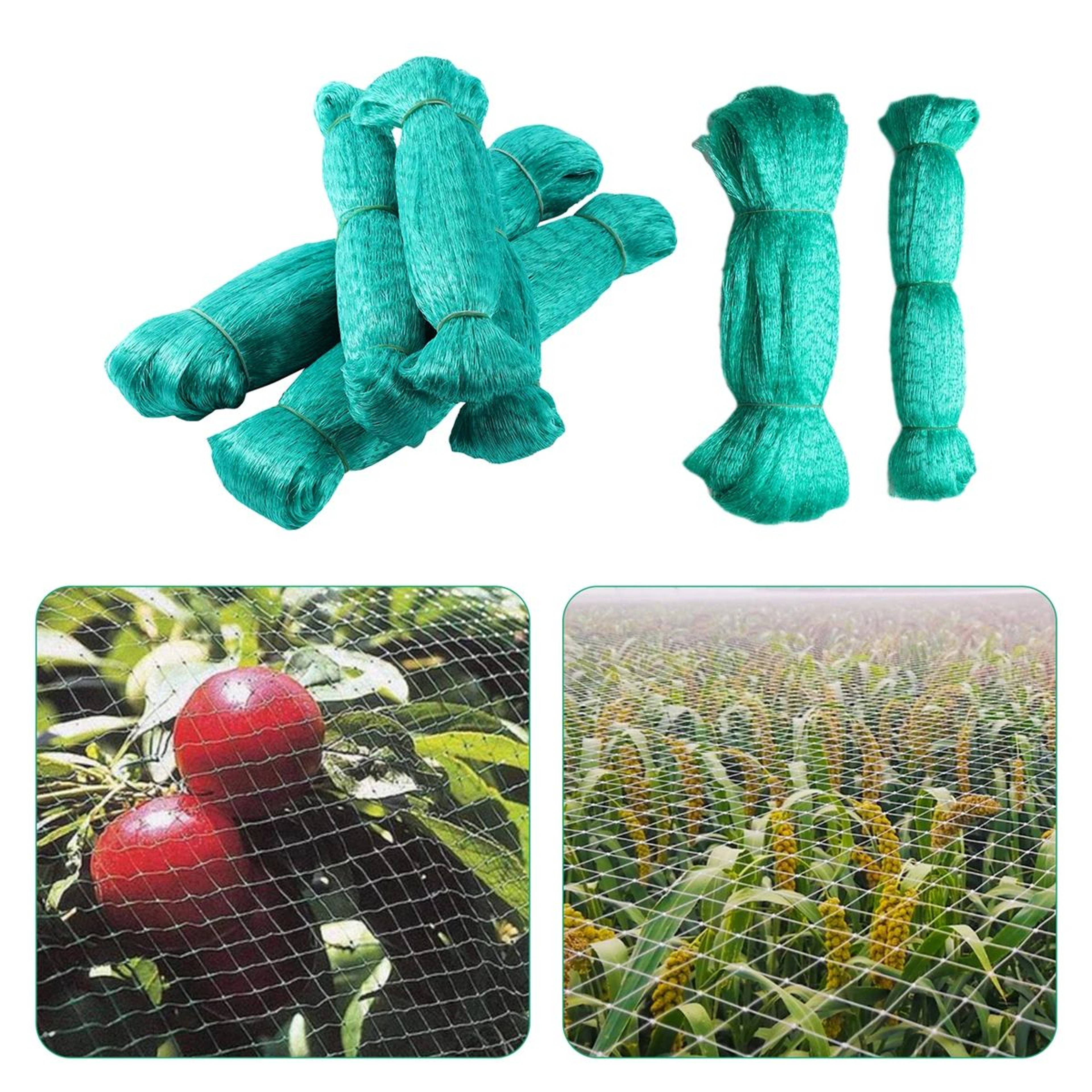 Garden Bird Protection Net 8