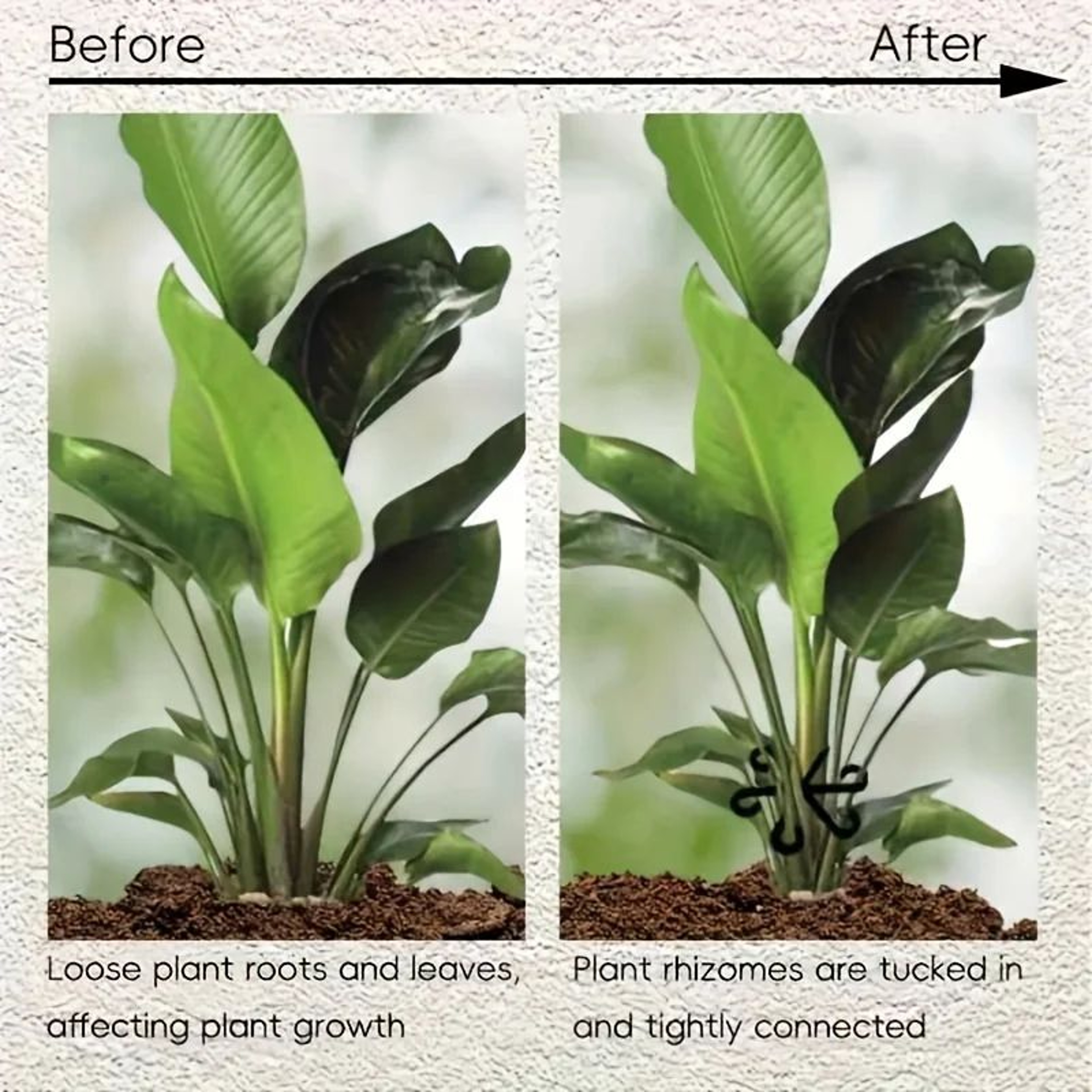 Plant Support Clips Set 6