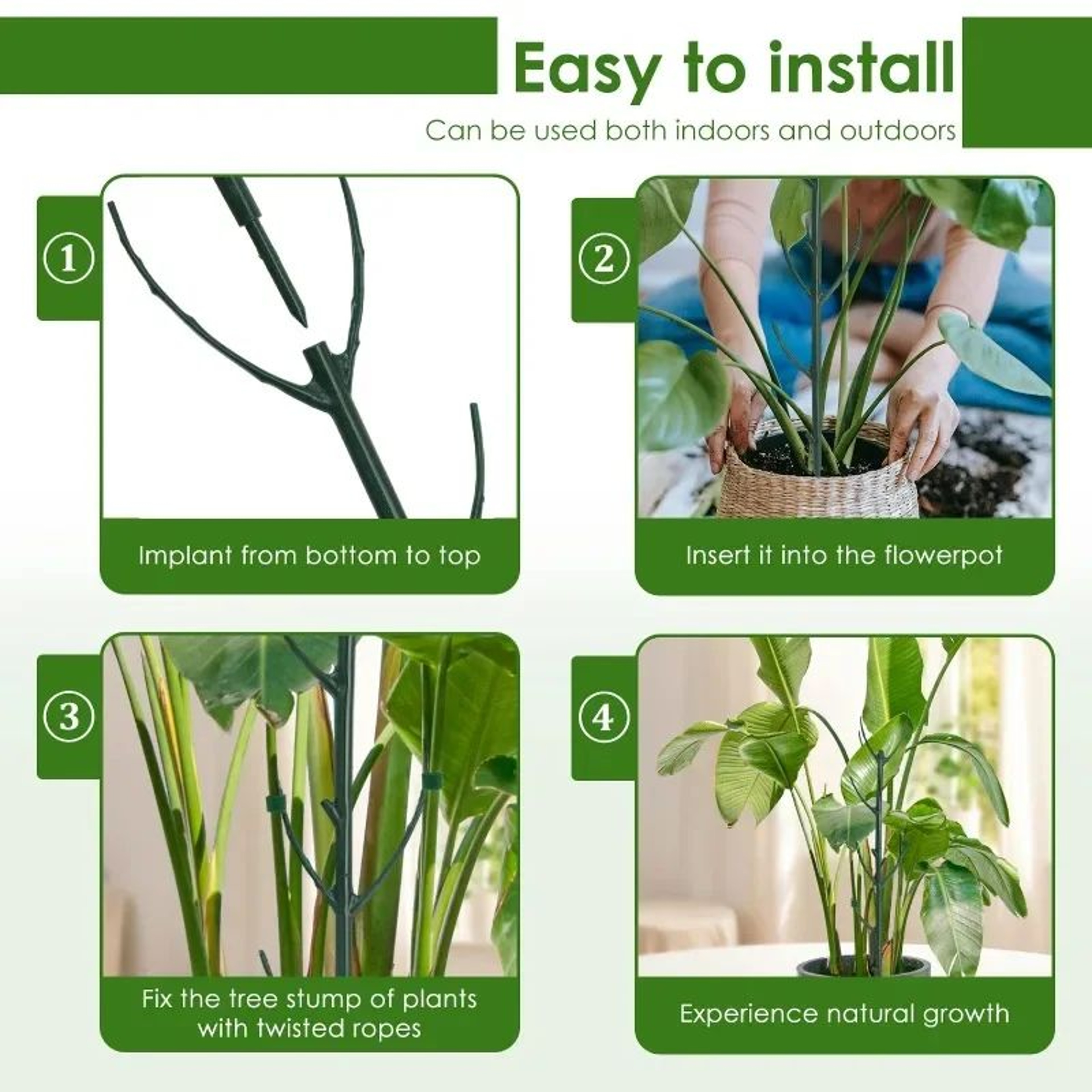 Plant Support Stakes For Climbing Plants 4