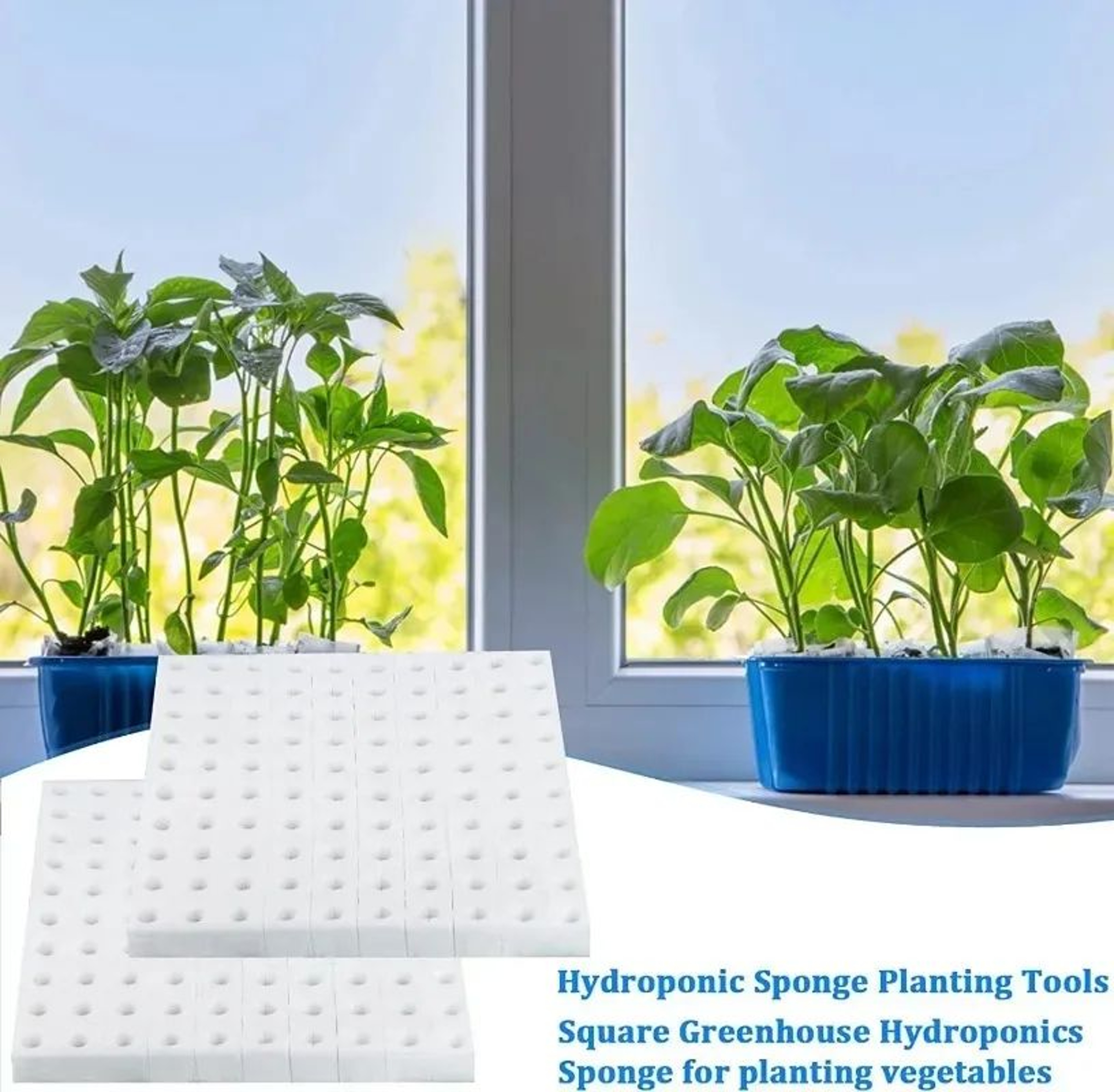 Hydroponic Plant Growing Sponge Set 5