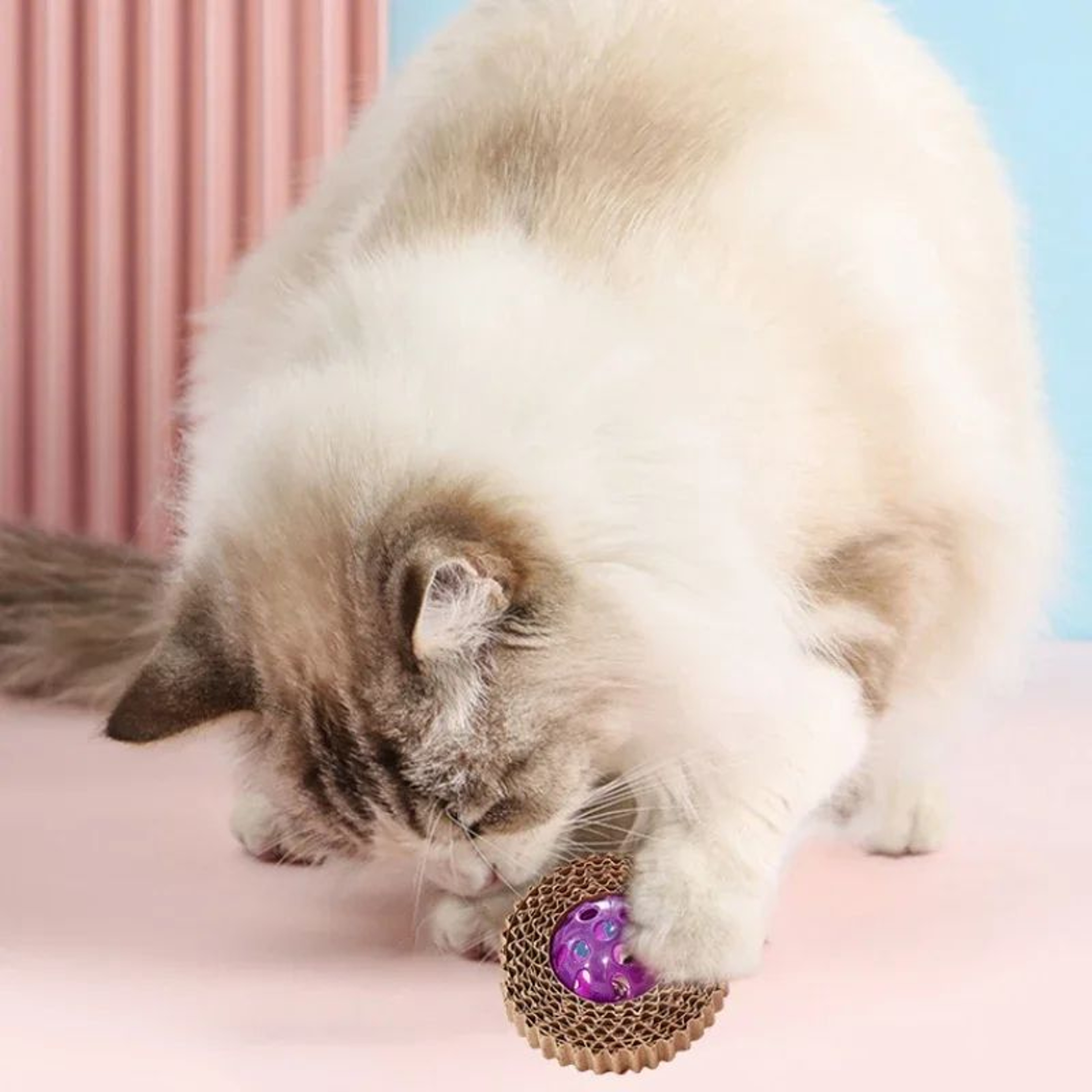 Corrugated Cat Scratching Toy With Bell 2