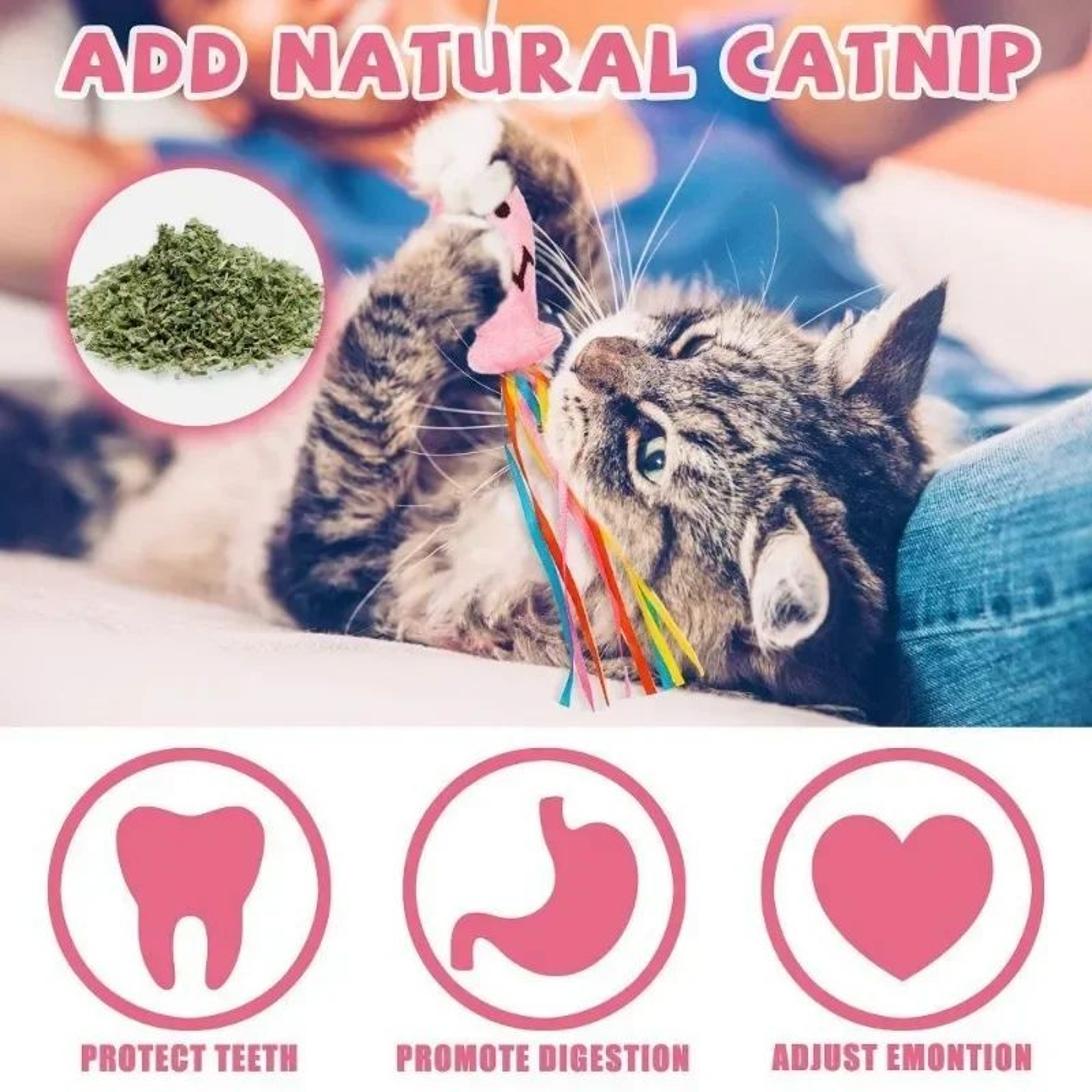 Cat Teaser Wand Toy With Fish Design 6