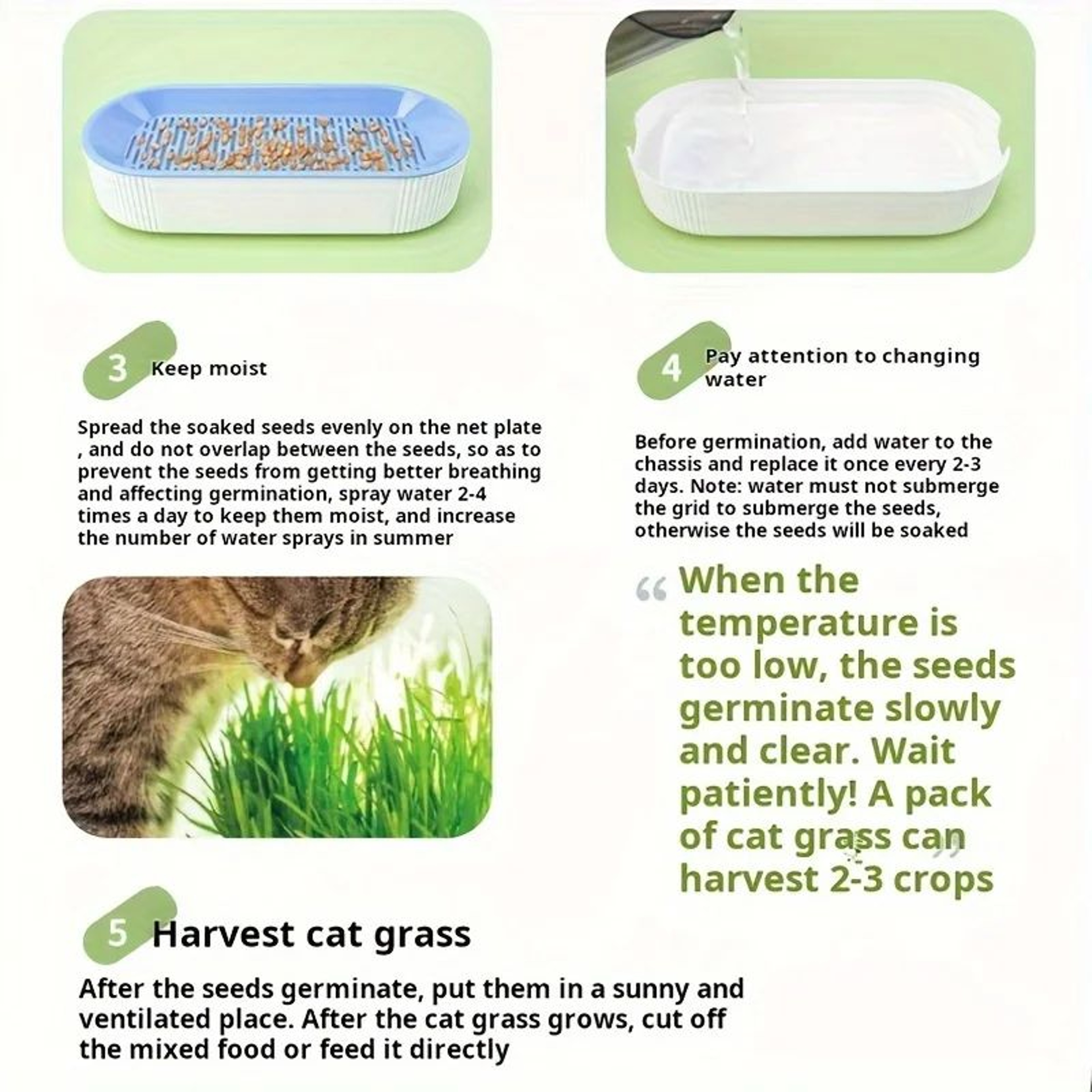 Hydroponic Cat Grass Planter Box 7