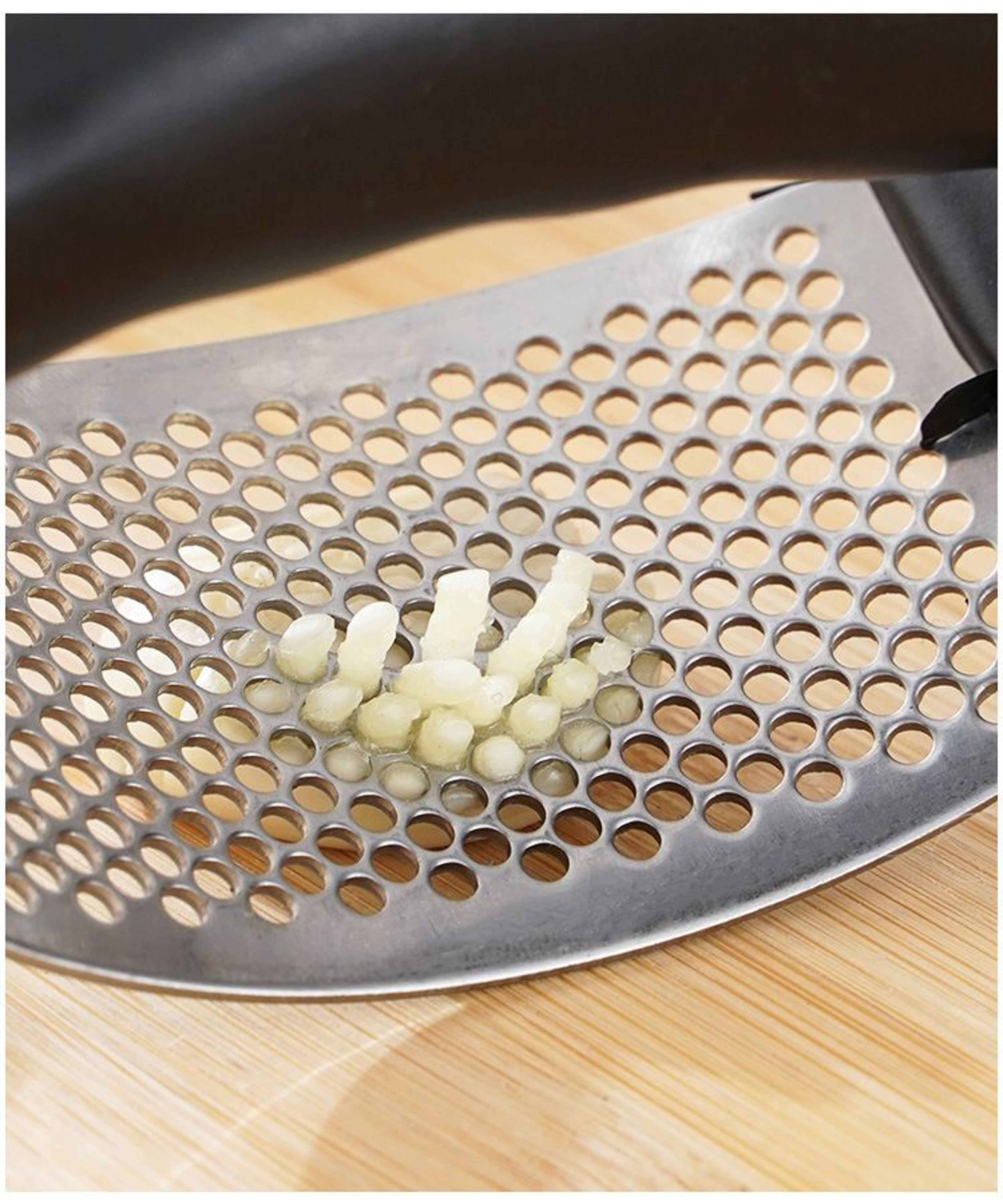 Stainless Steel Garlic Press 9