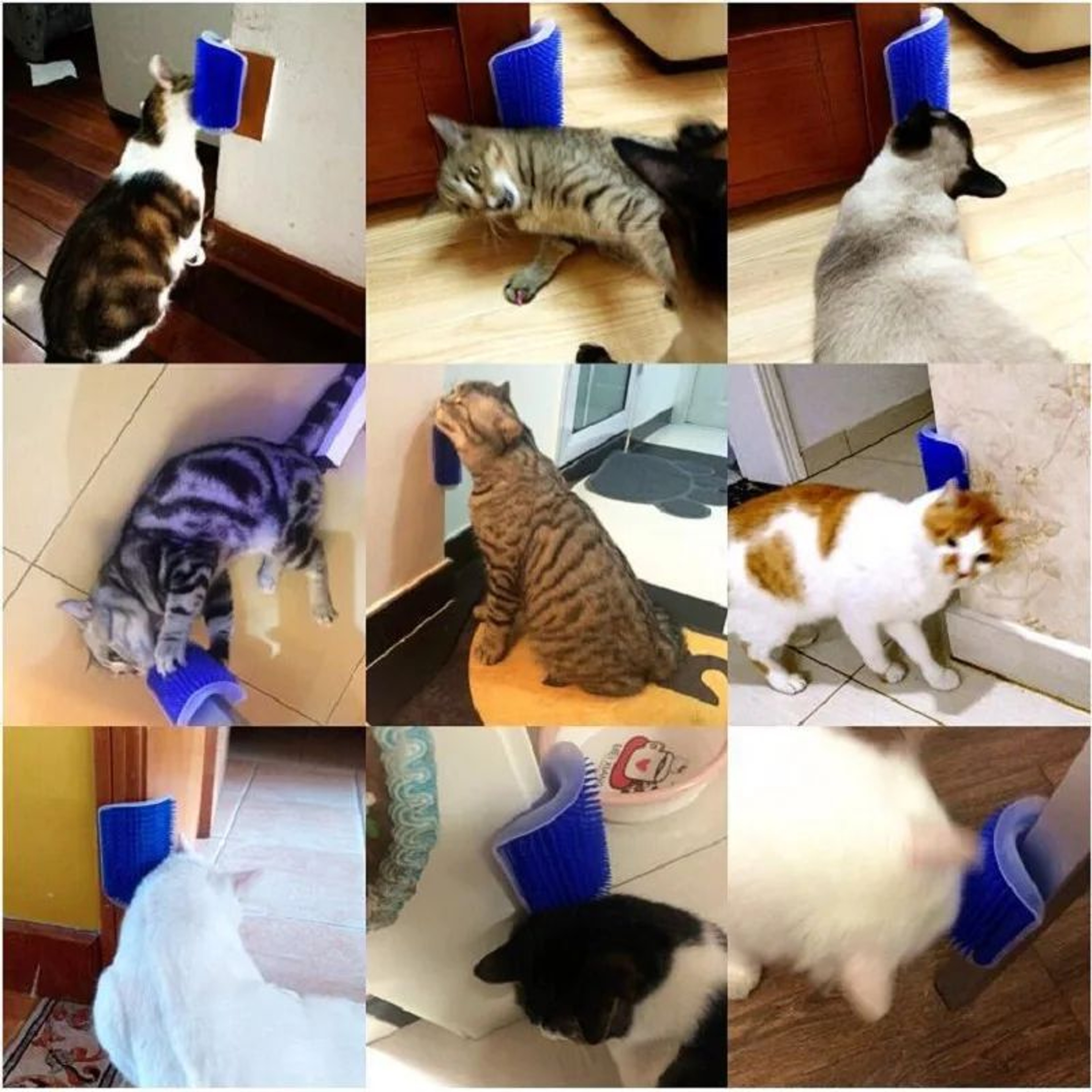 Cat Scratcher Grooming Massager Brush 1