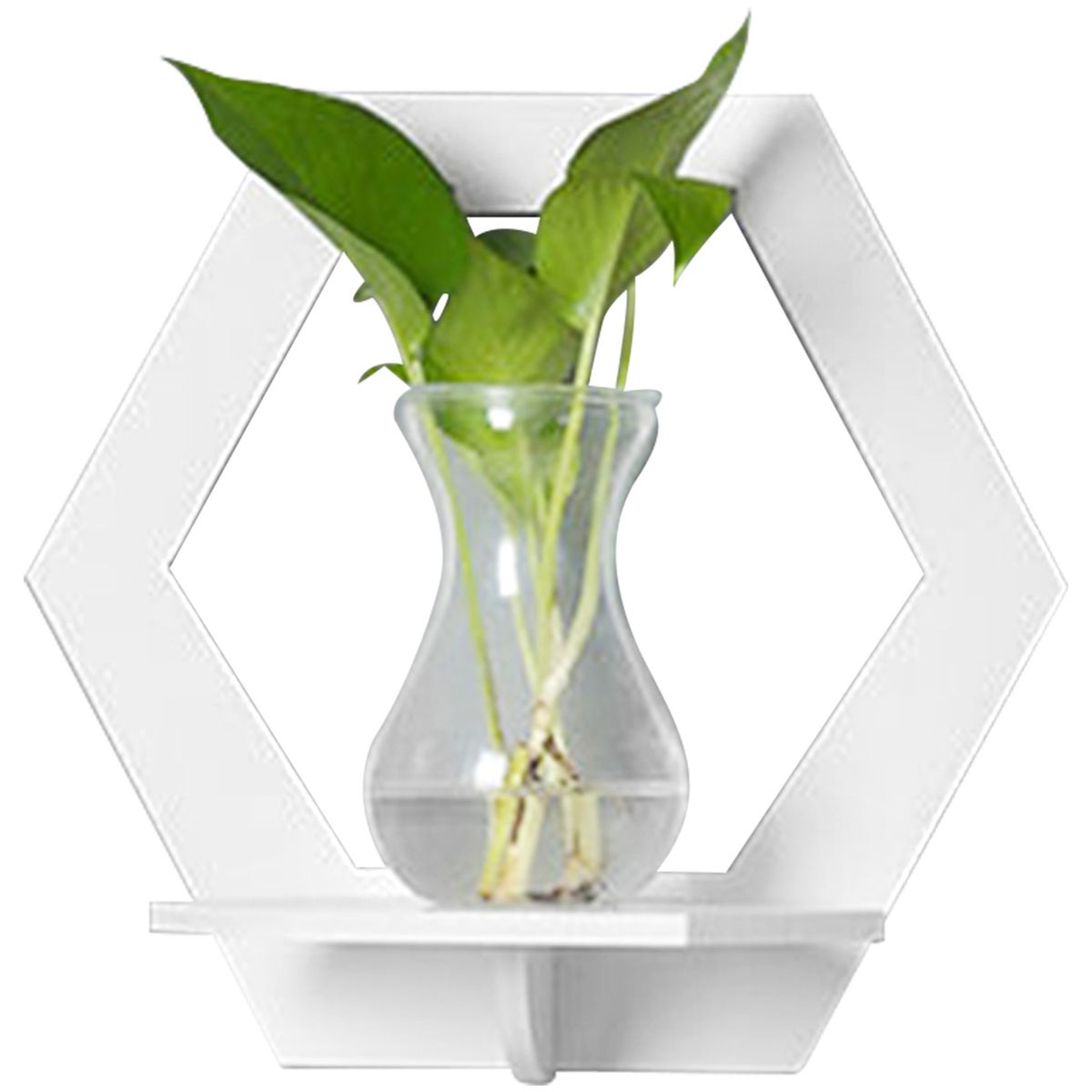 Hexagon Wall Shelf Display Set 8